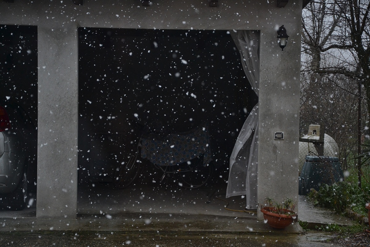 Taken with the "flakes"