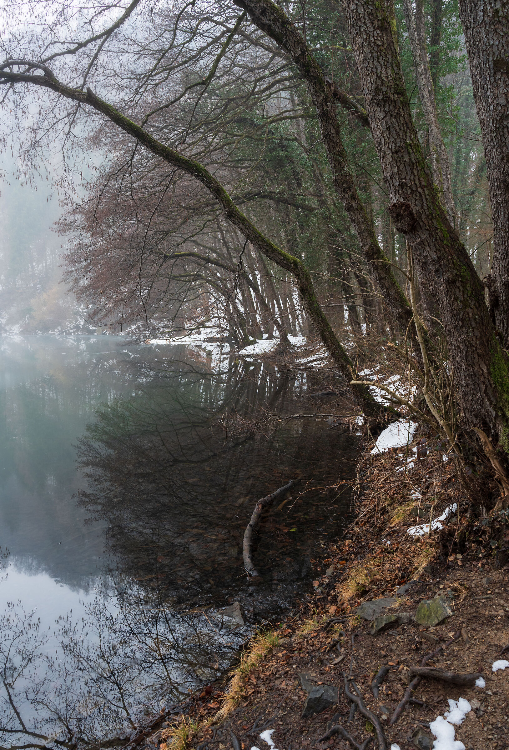 In the morning (Lake Levico - Trentino - Italy)