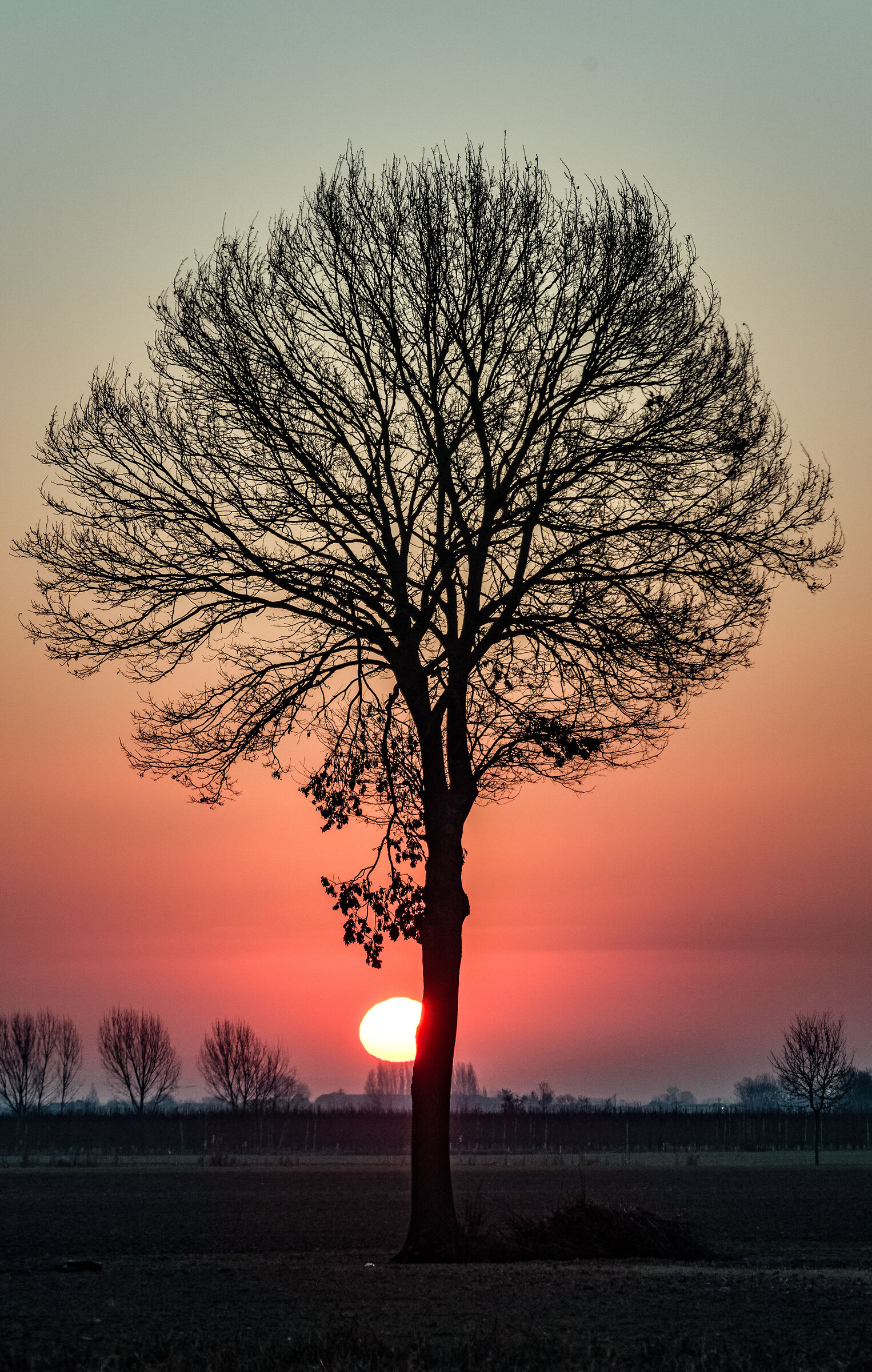 Alba di fine inverno.