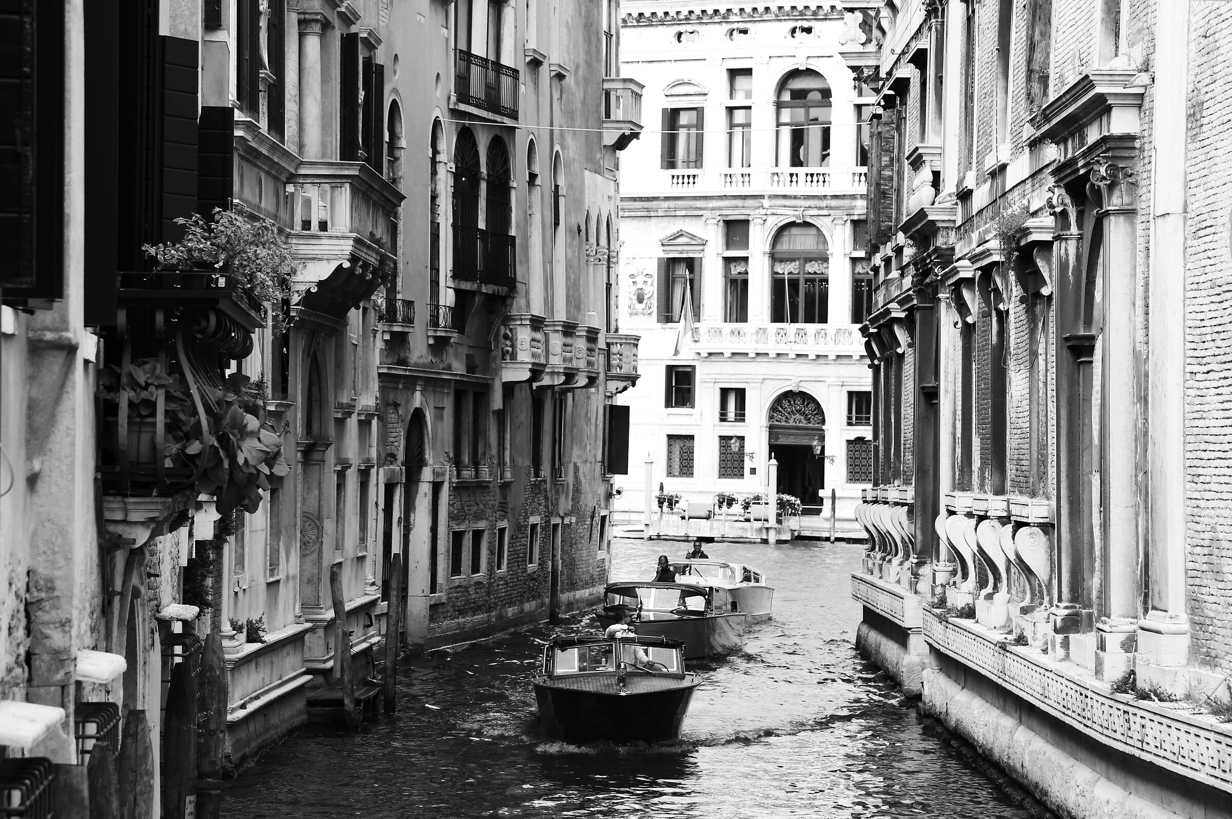 bw venice
