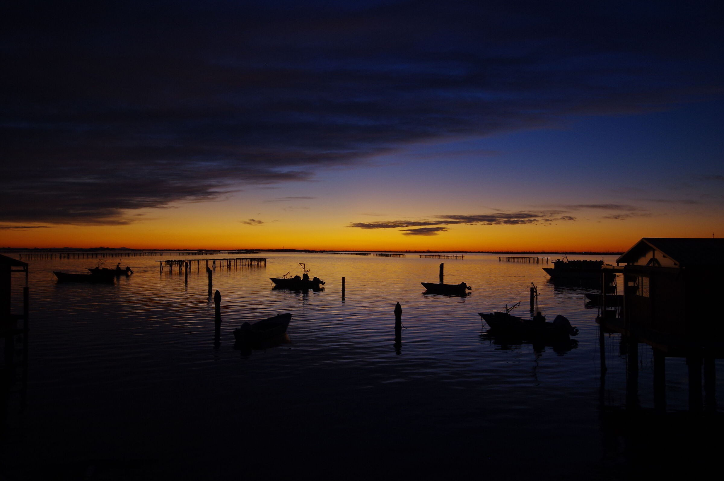 Sacca di Scardovari - Tramonto