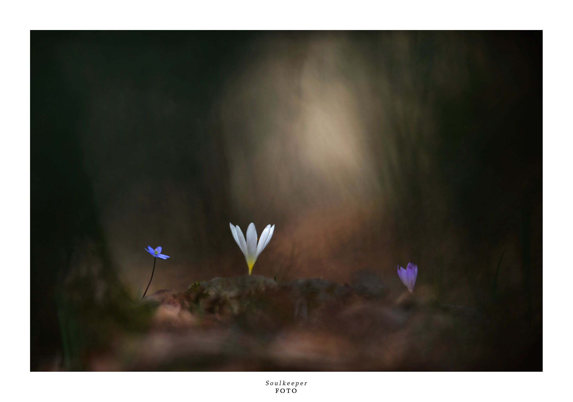 Lights will guide you home...