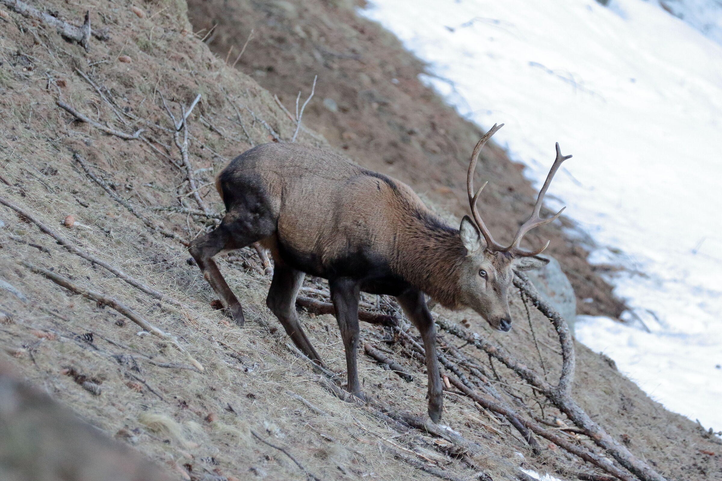 Incidente di percorso!