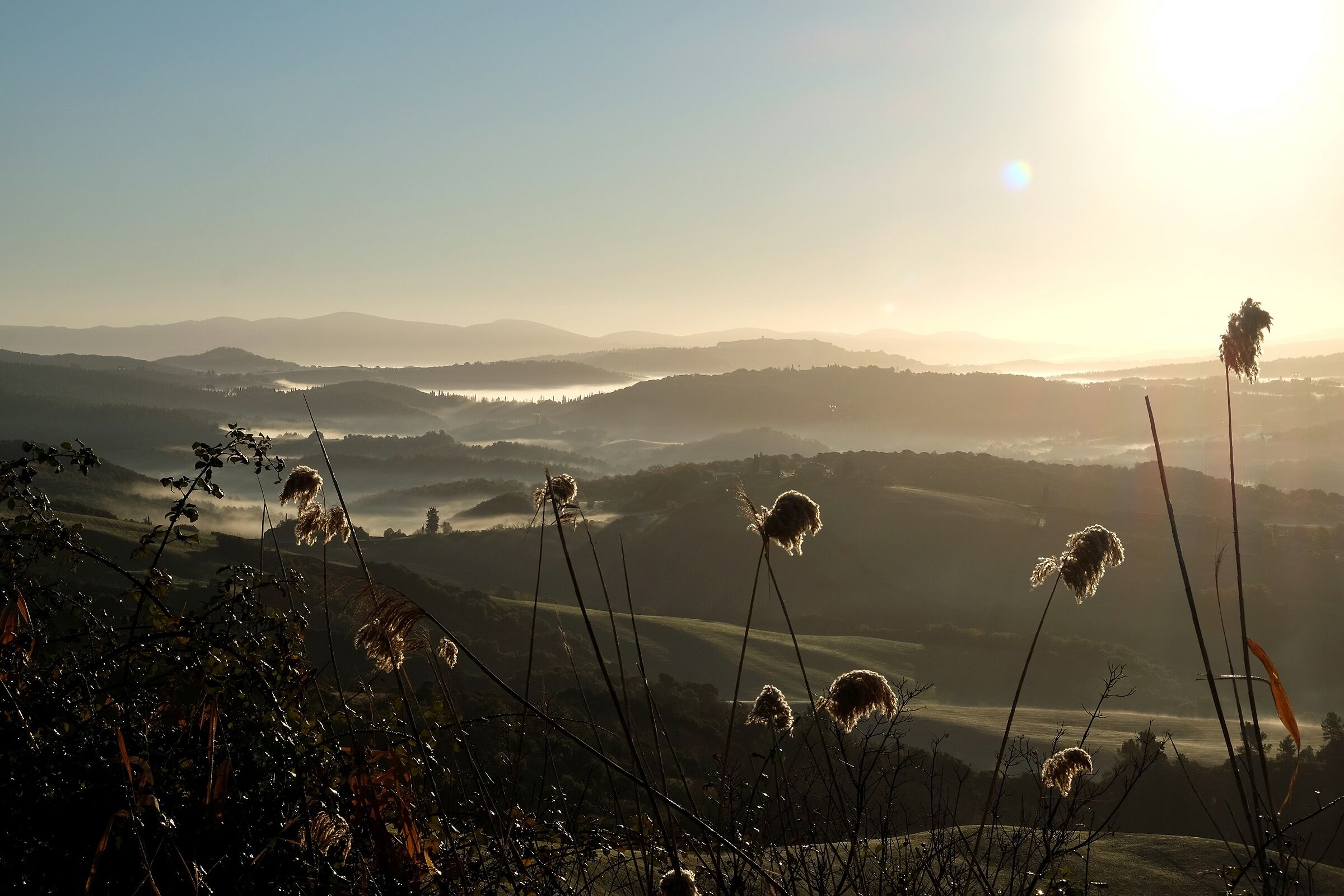 Morning fog