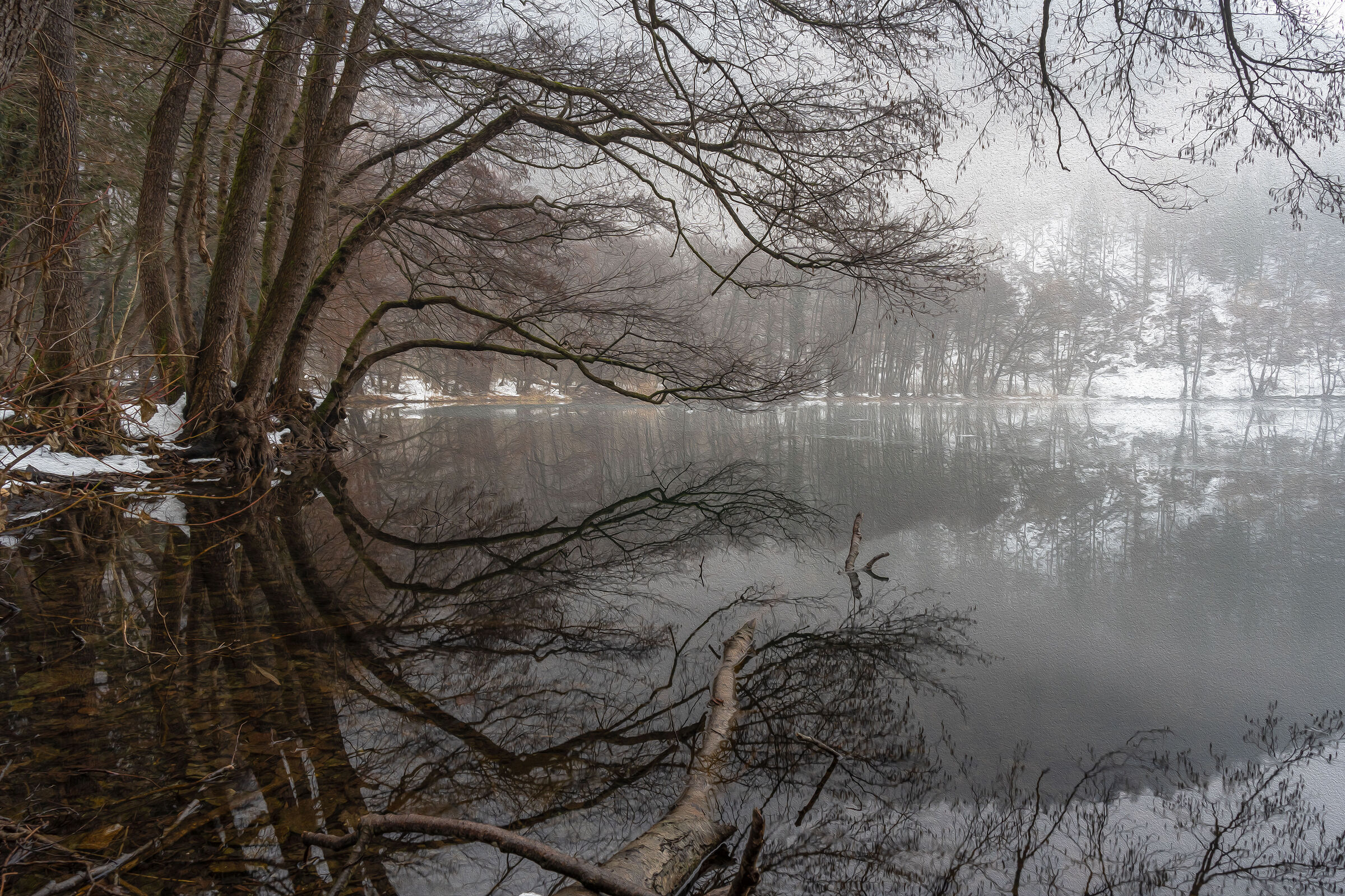 Enchanted Lake (Levico - Trentino - Italy)