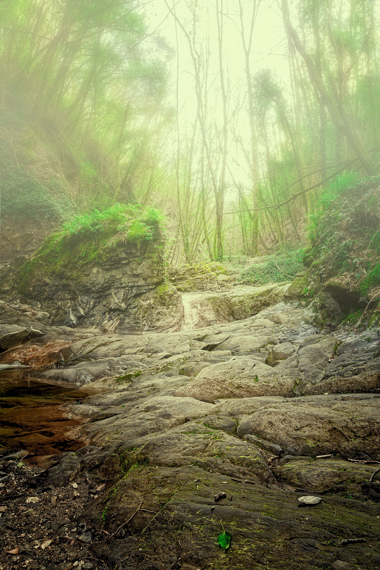 Il torrente dei lupi