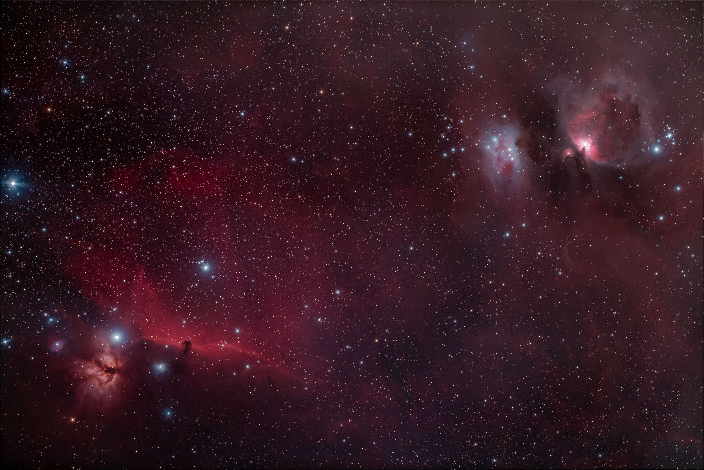 M42 , Flame & Horse Head Nebula (wide field)