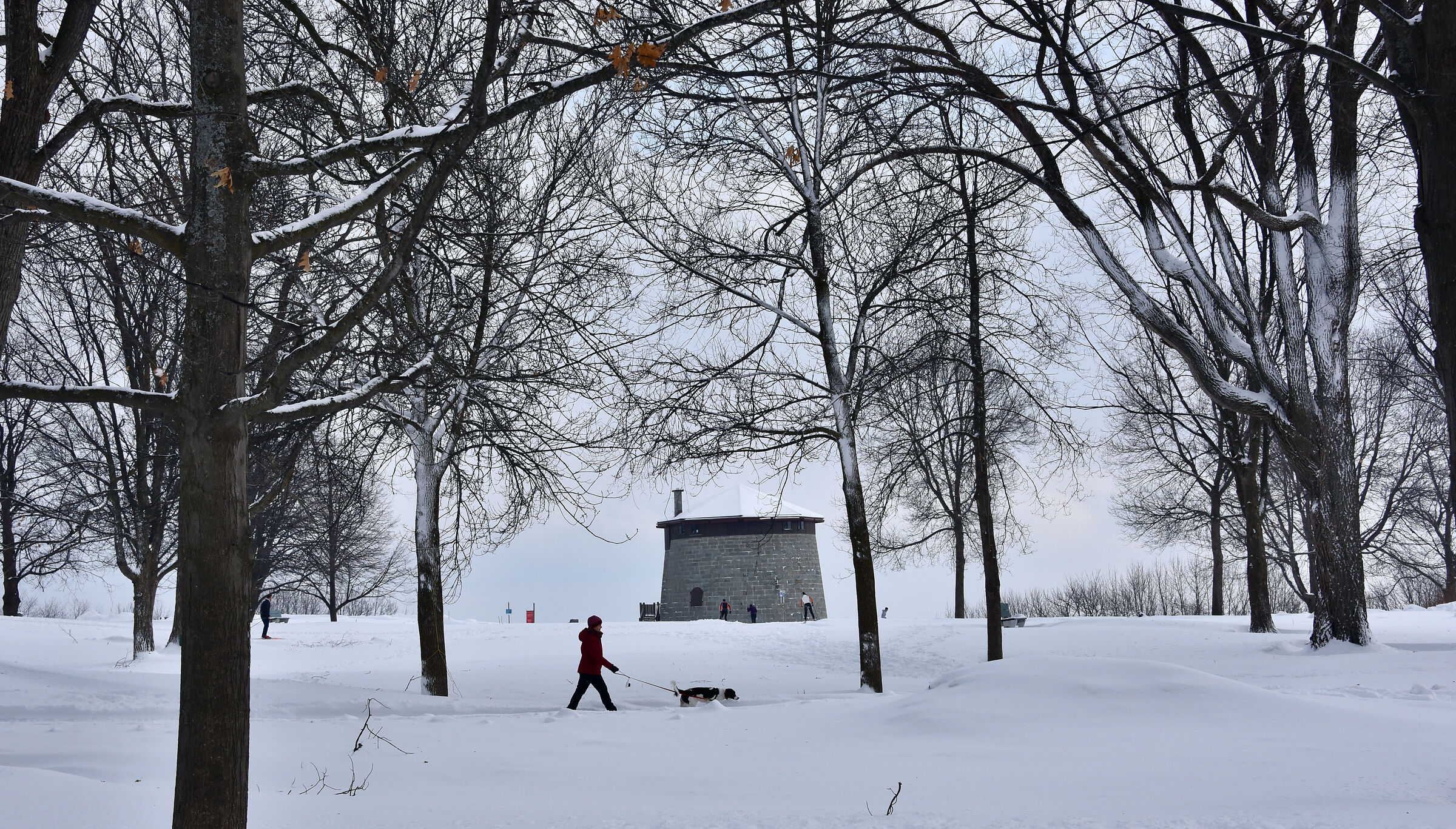 Relax on the Plains of Abraham...with your dog
