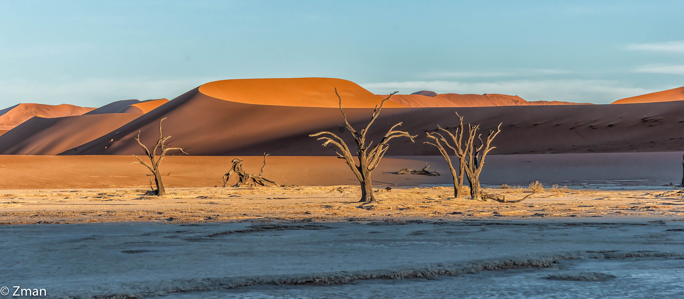 Alberi di acacia morti a Deadflei Namibia