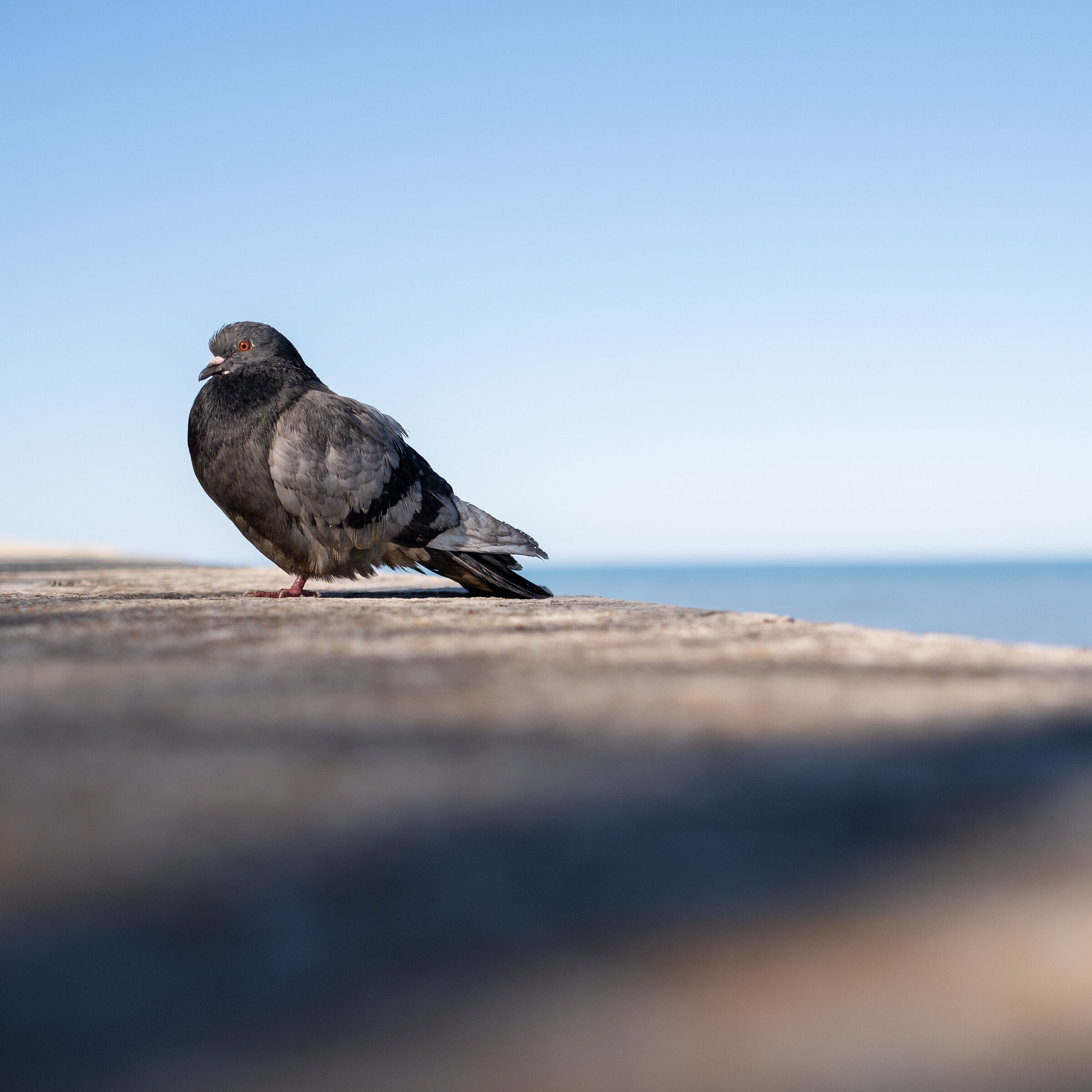 "thank you for posing"