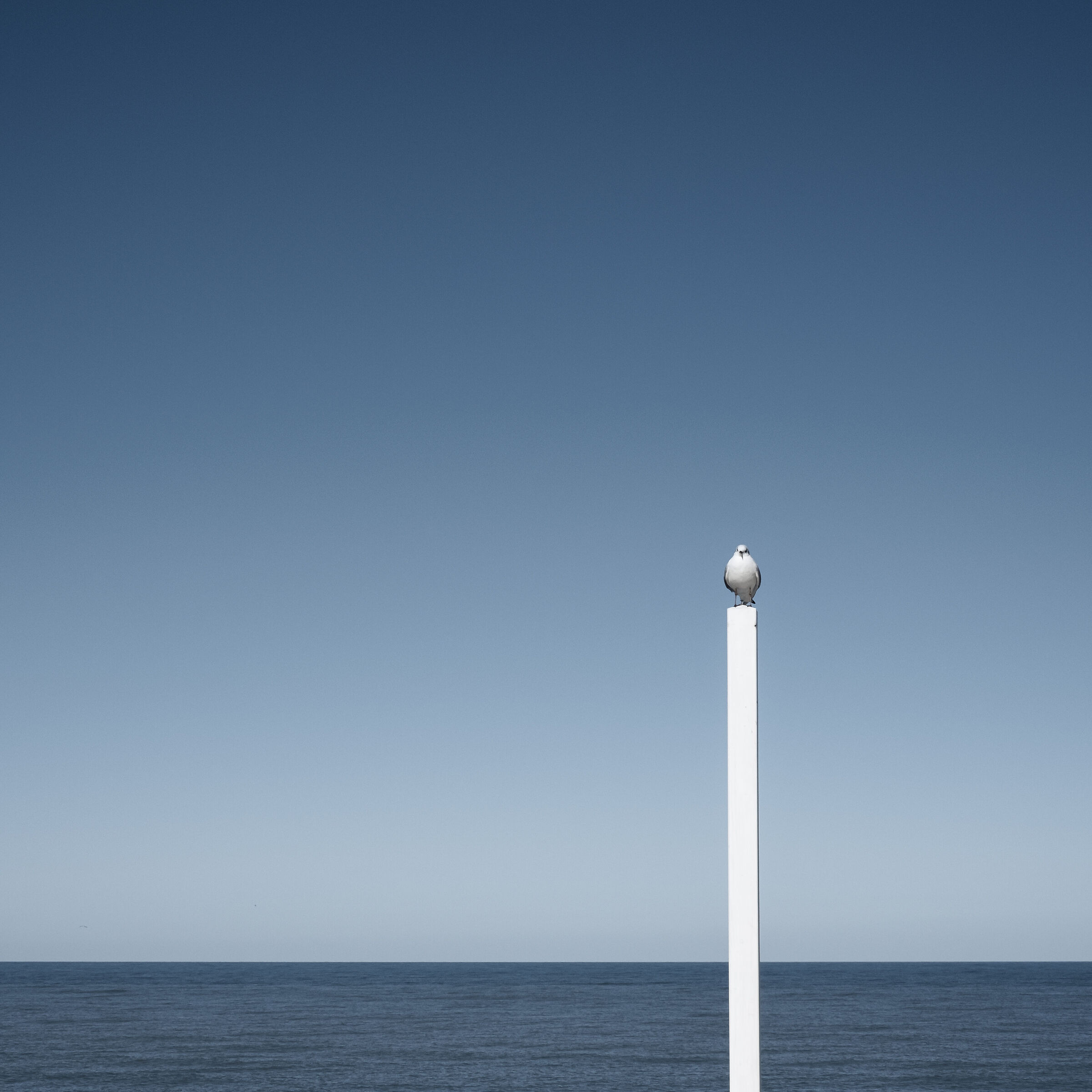 "That by chance did you lose your partner?"