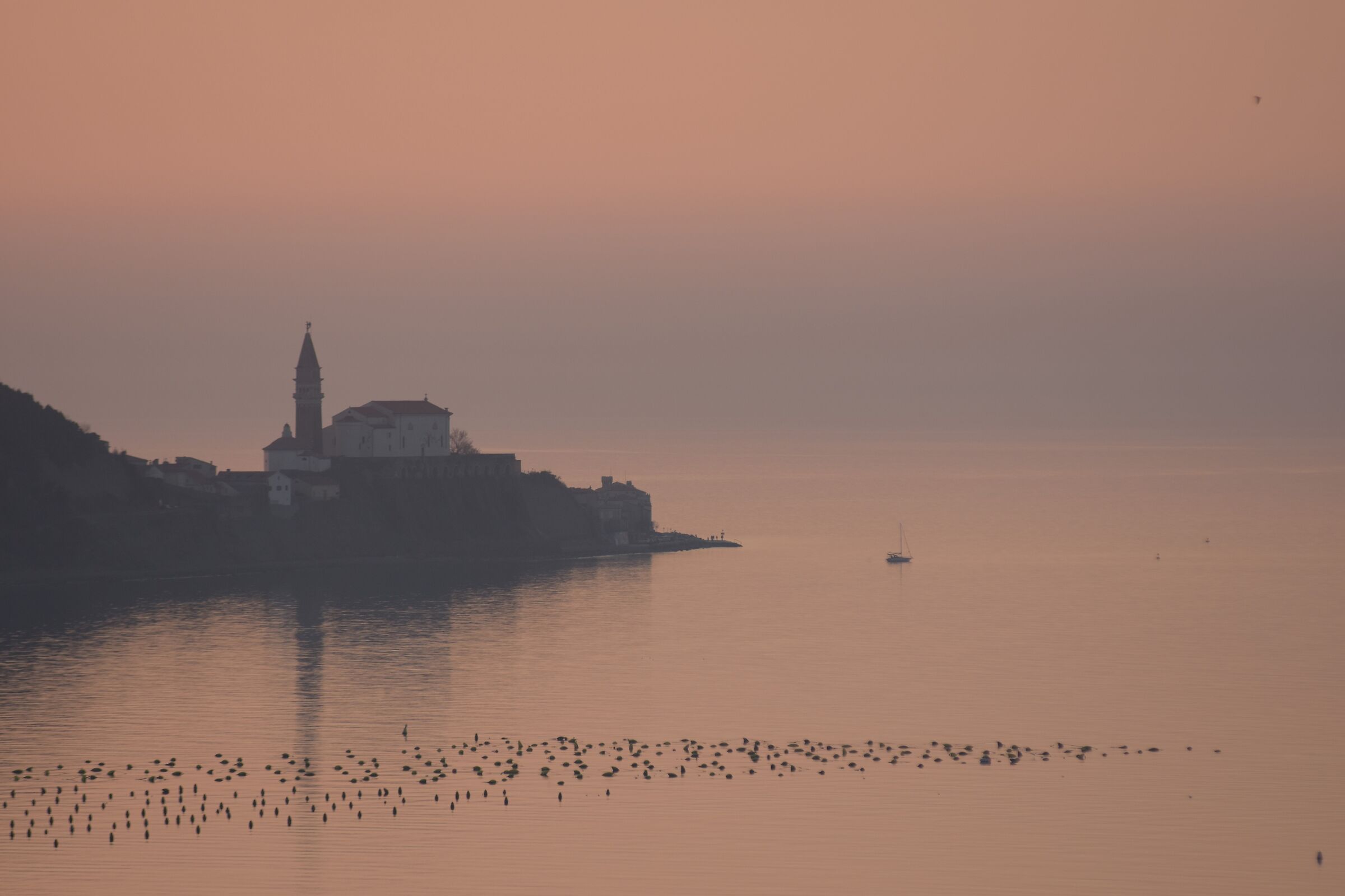 Punta di Pirano