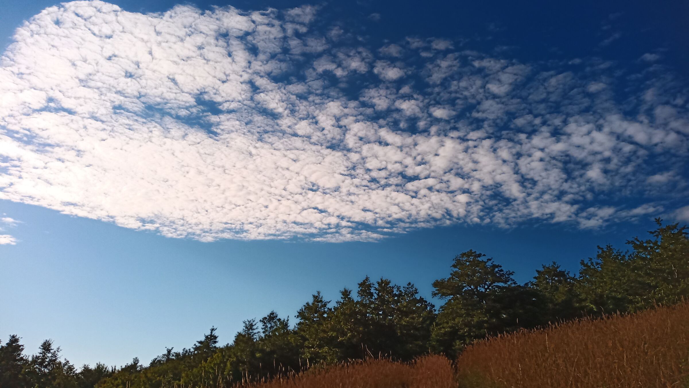 Clouds