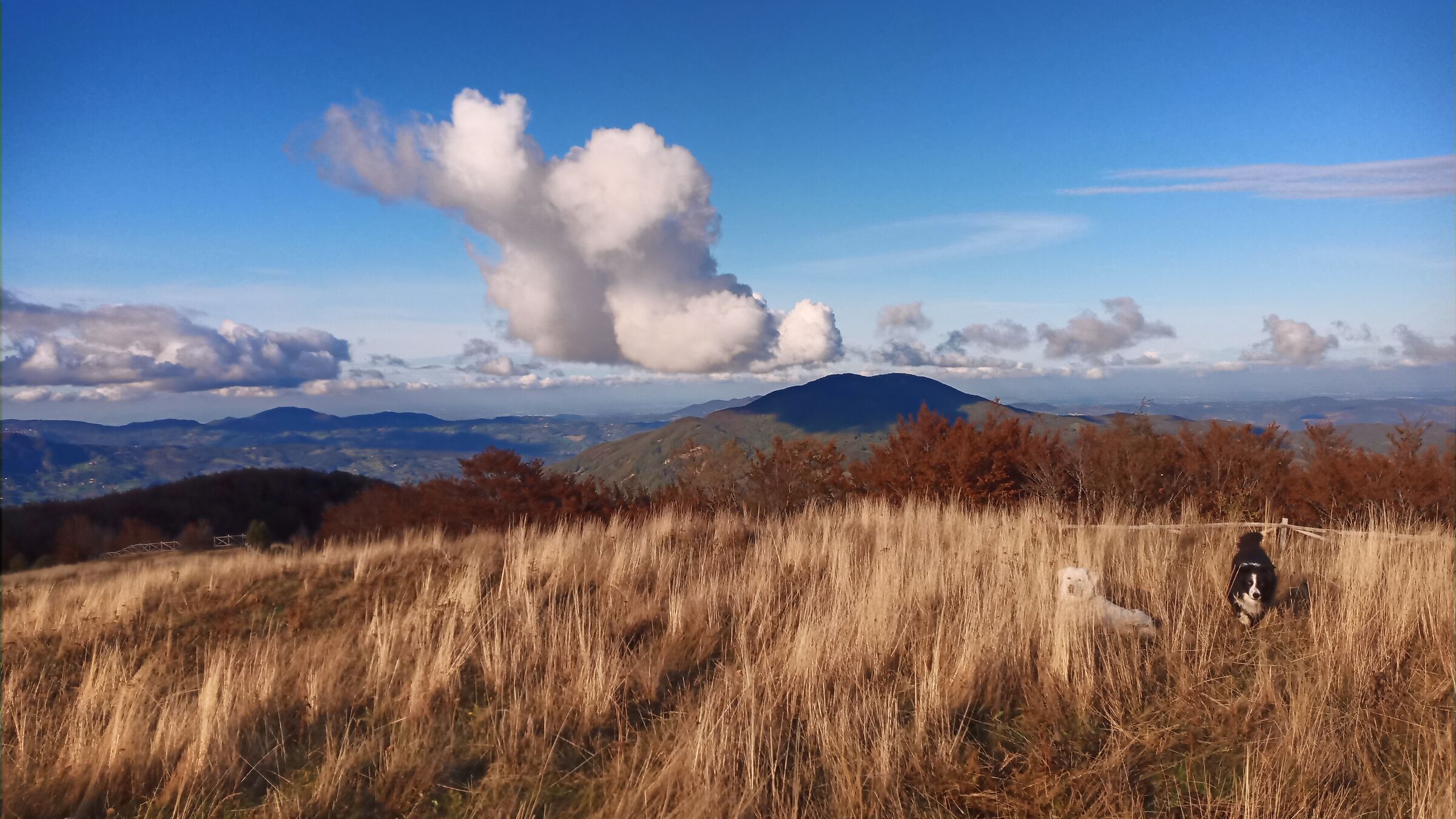 Clouds and dogs on Barigazzo
