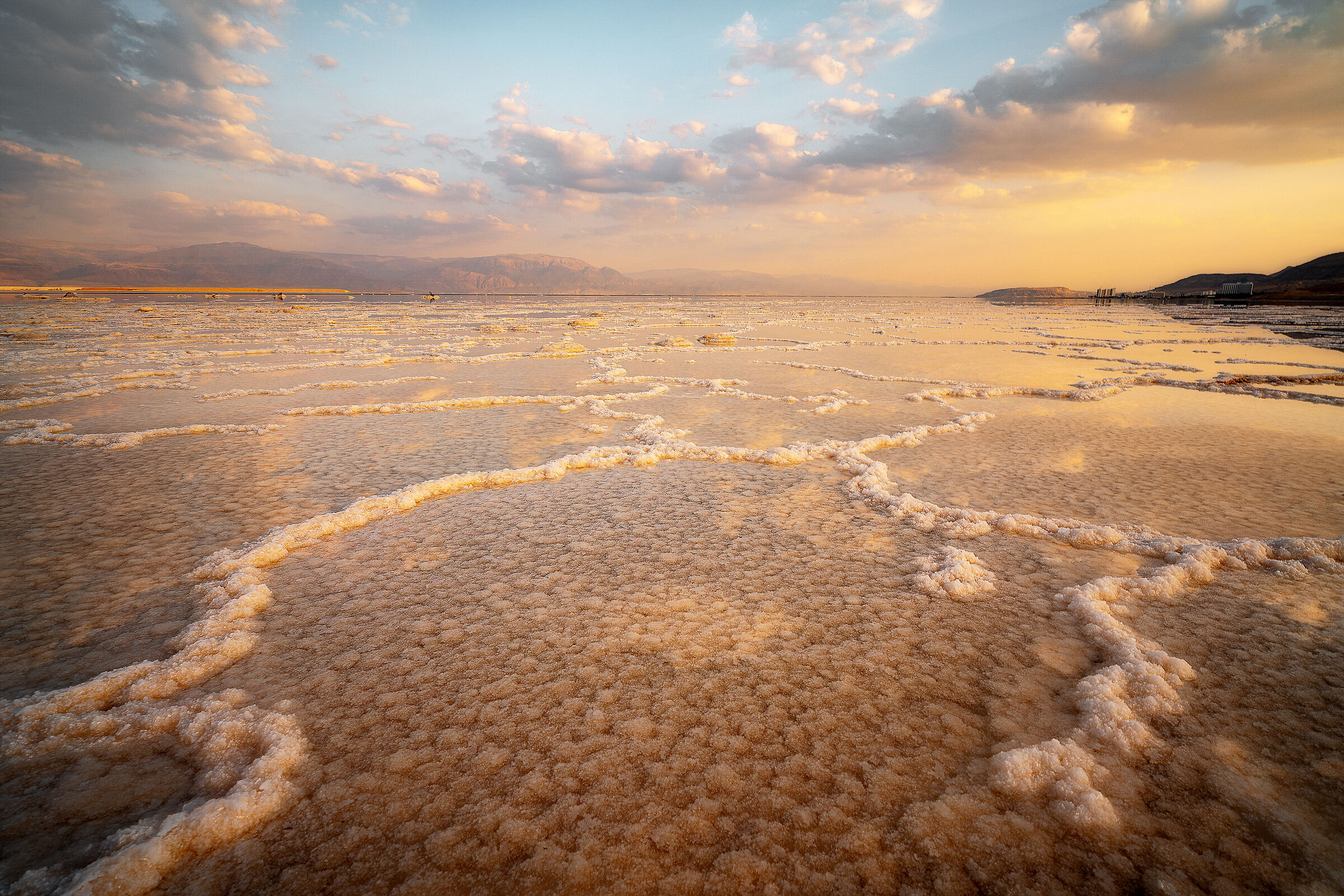 The Dead Sea