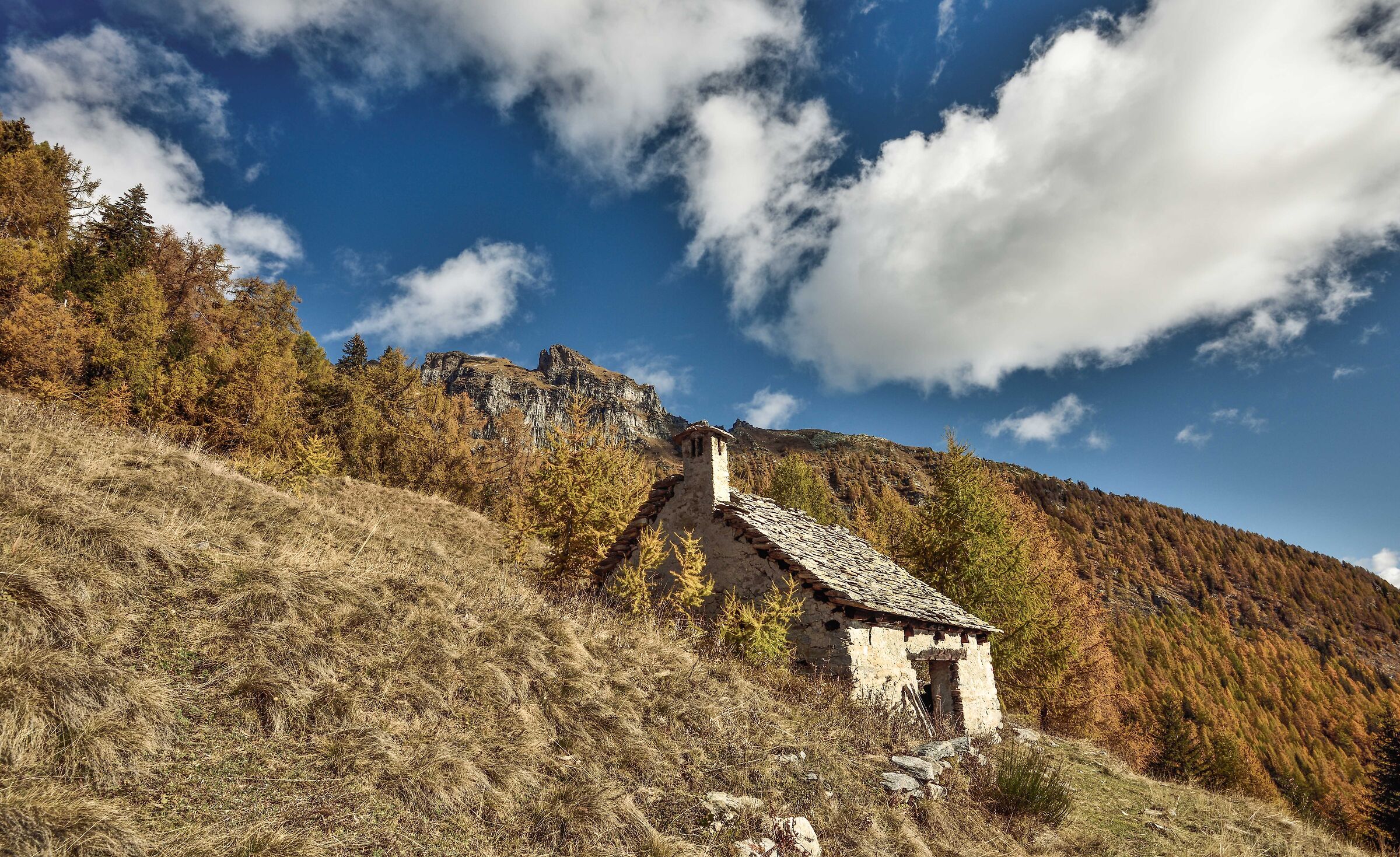 autunno 2020 Valdivedro - Alpe Rono