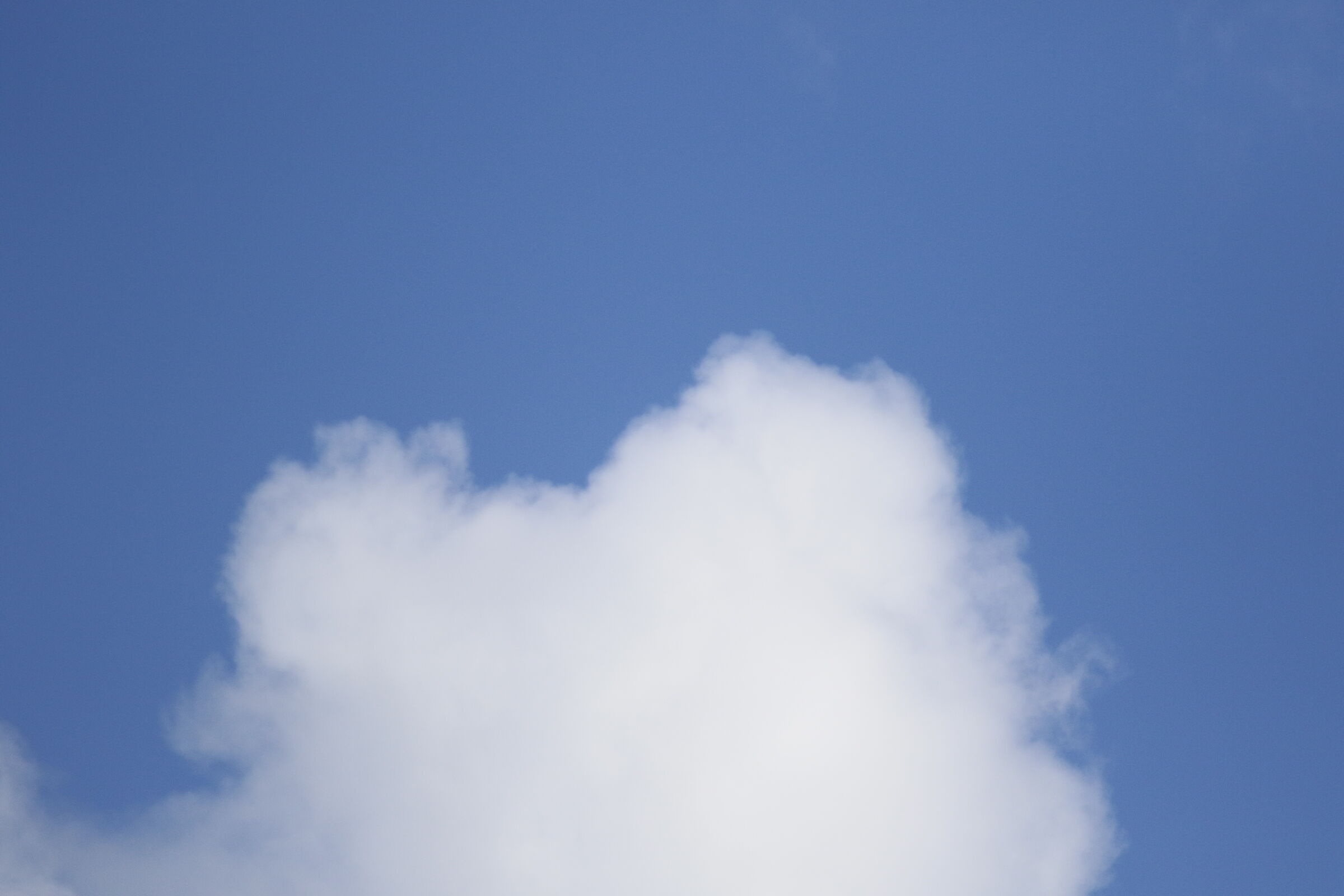 A 300= Crop 480/ Canon 7D II- 70-300 DO IS USM