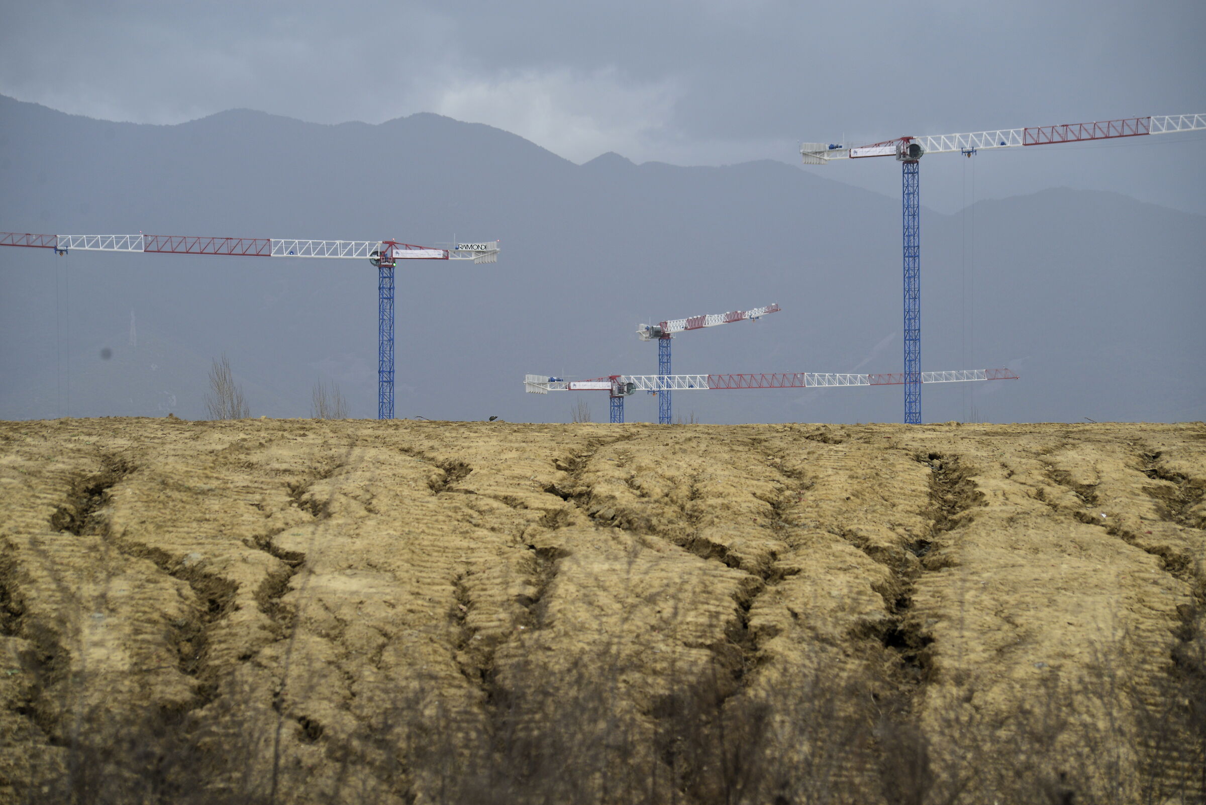 where there was grass