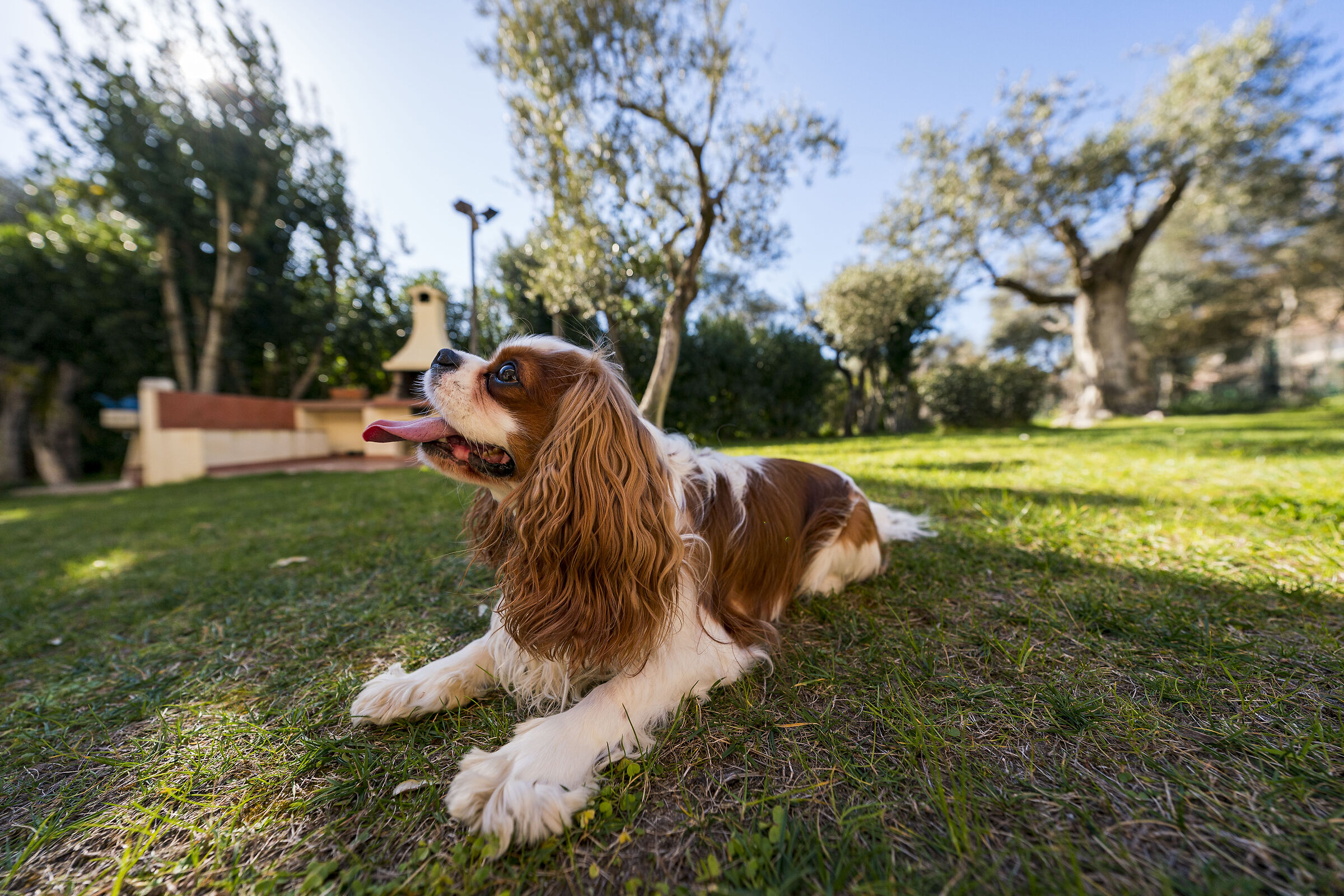 Laying under the sun