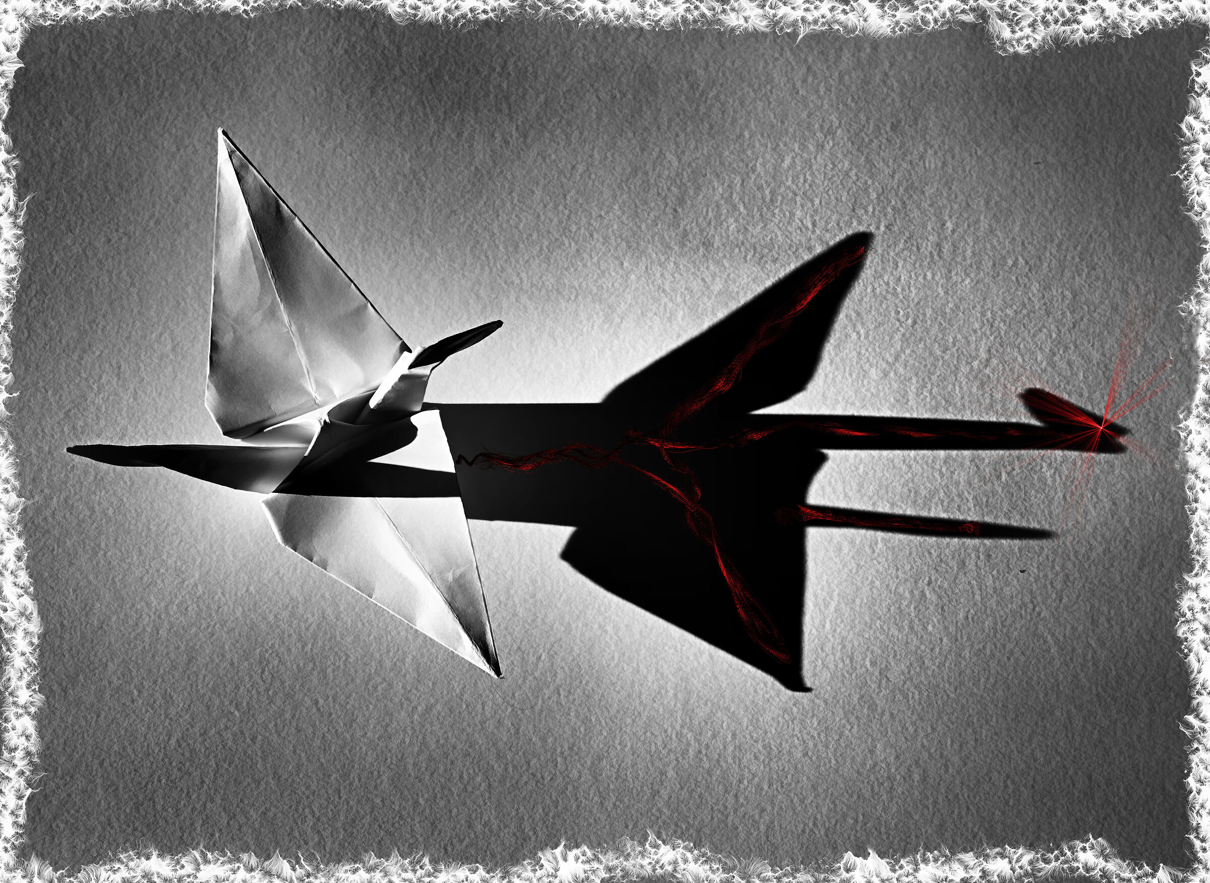 Phoenix Arab