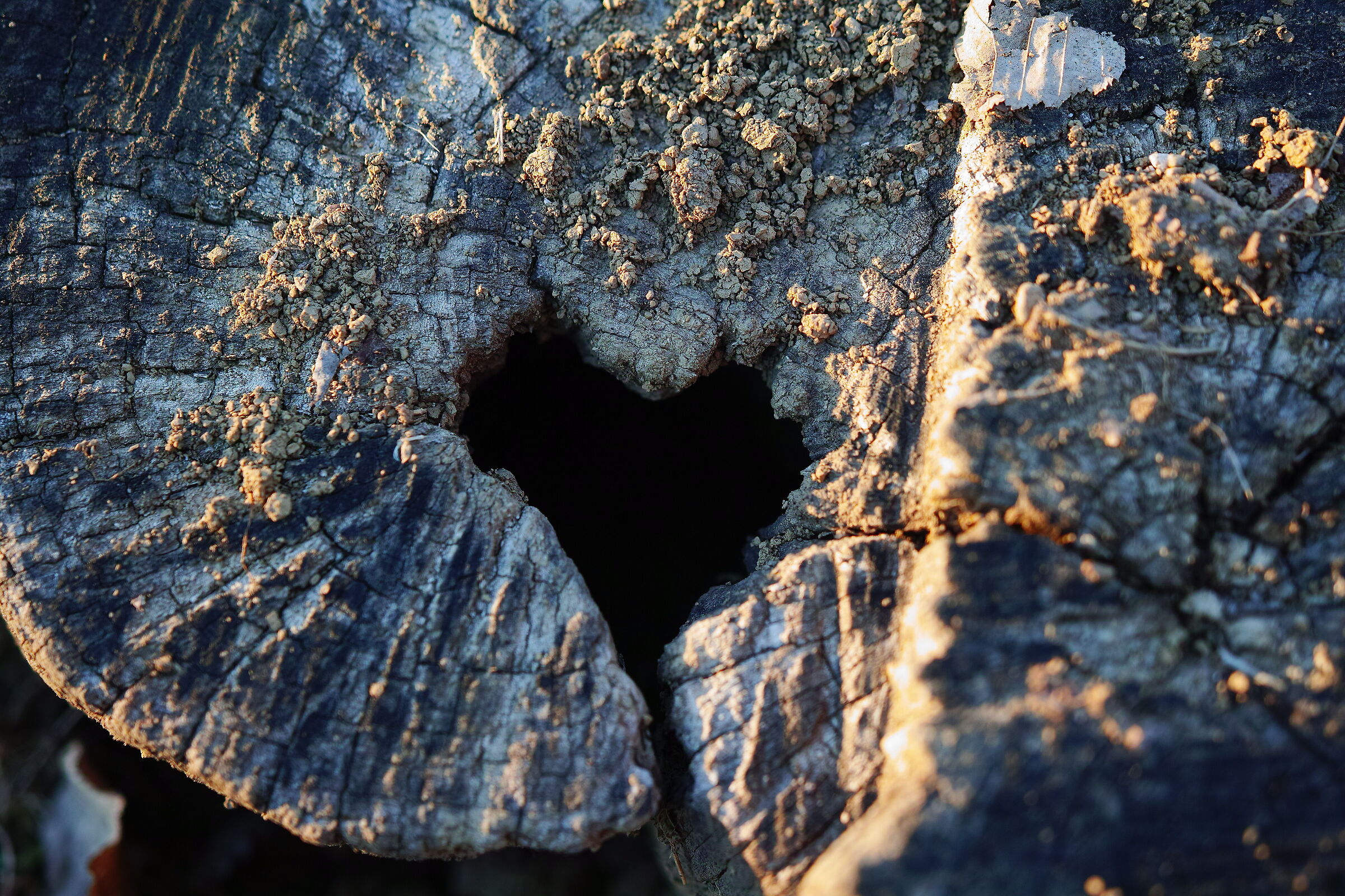 In the heart of Nature