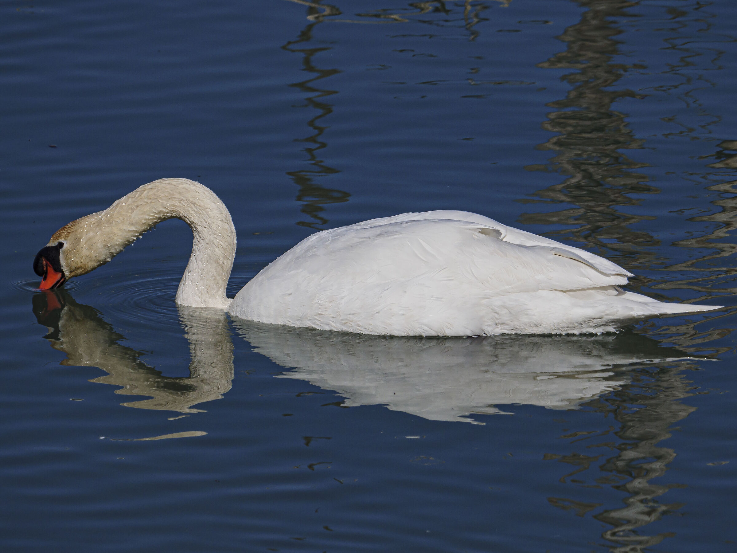 un goccio d'acqua