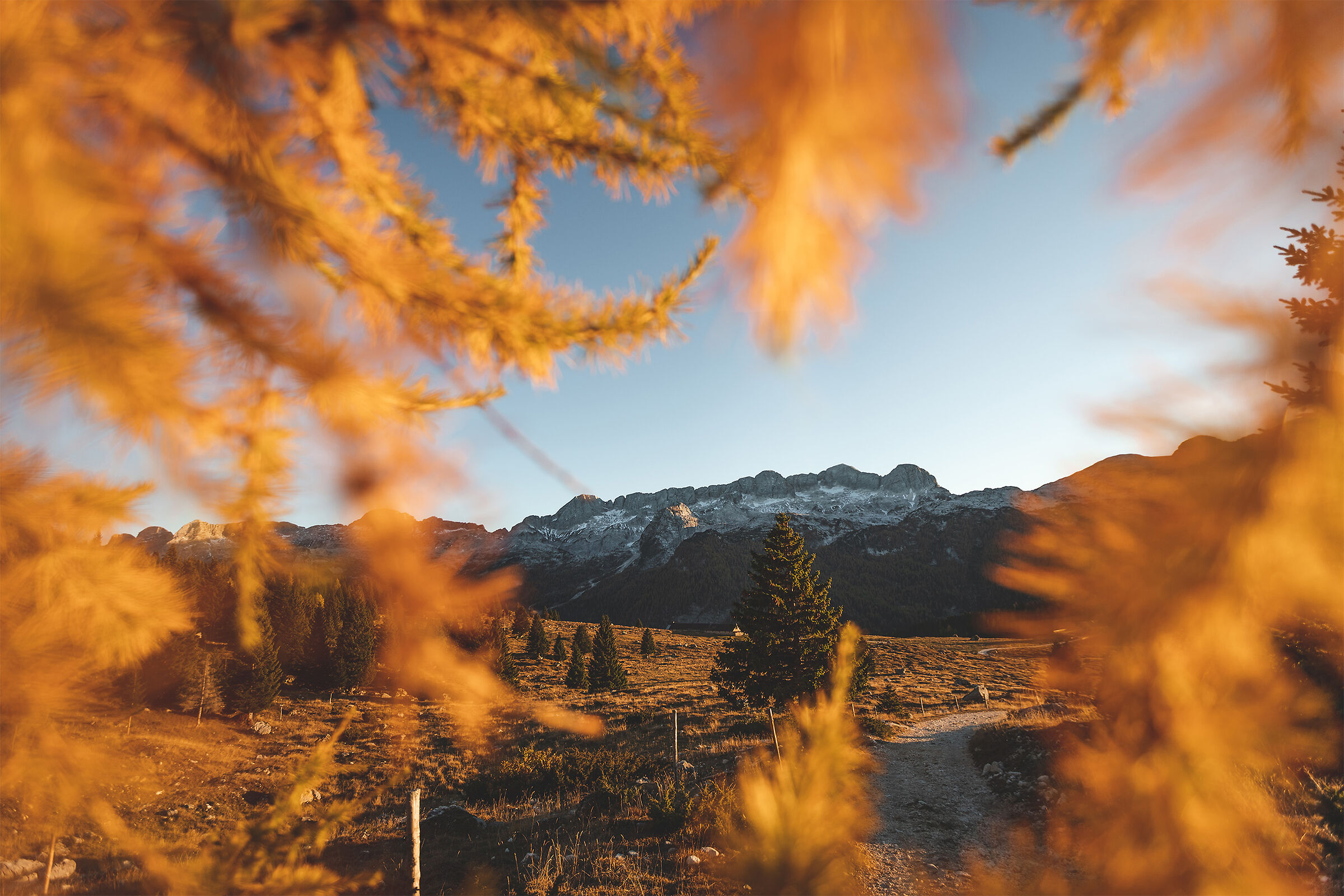 Autumn setting for the Canin ridge