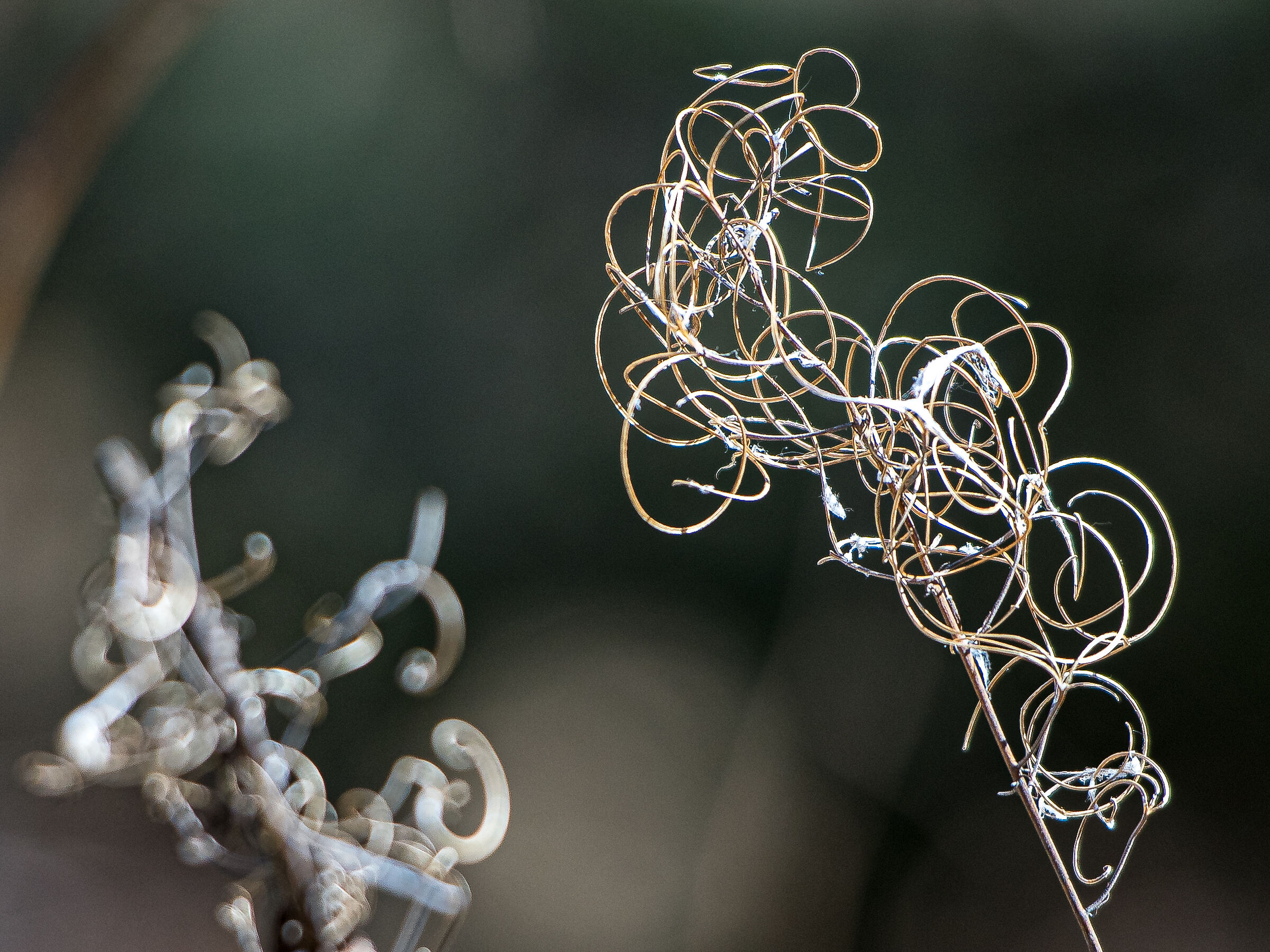 Qualcosa in montagna