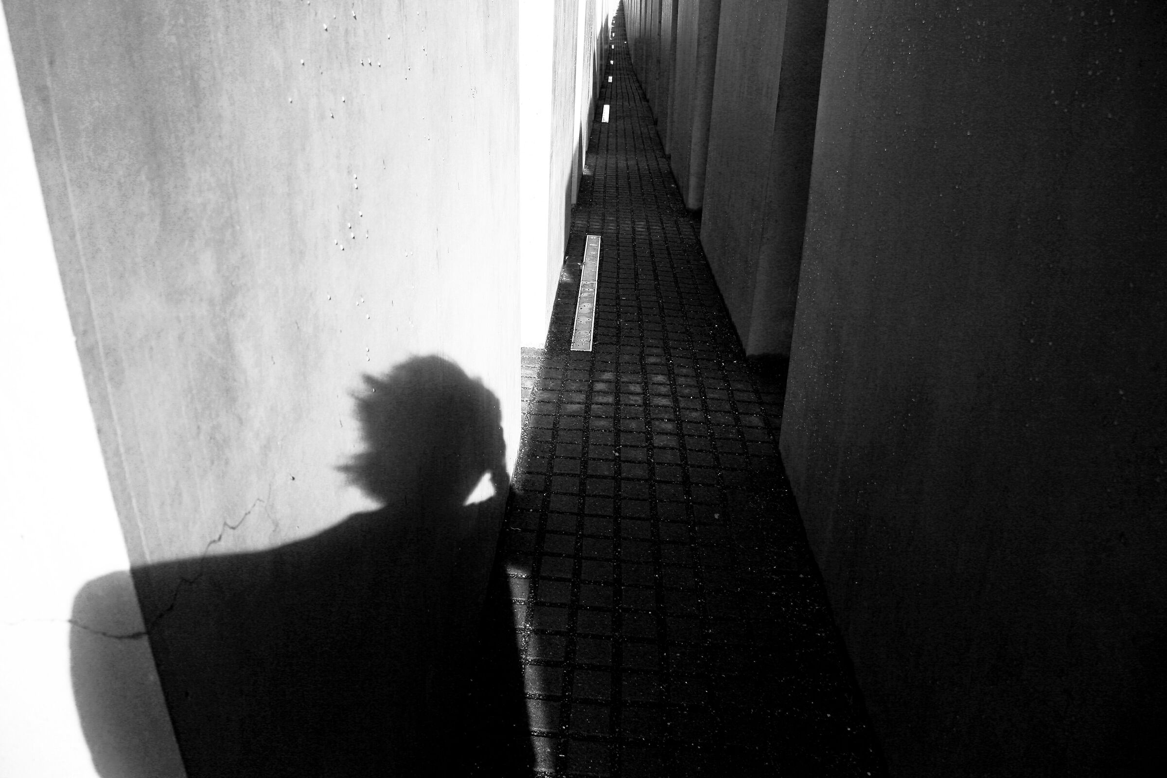 ...percorso obbligato