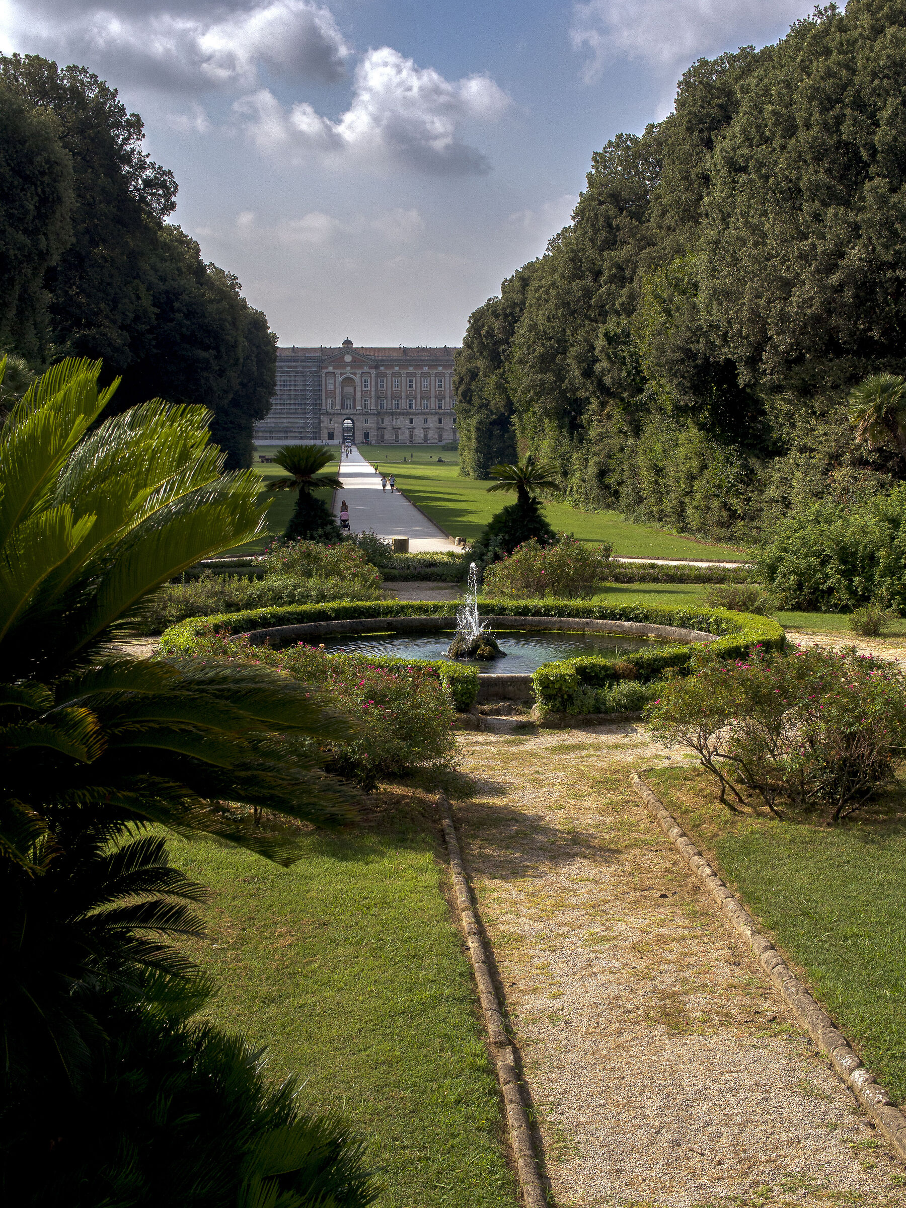Ti mostro la retta via... per la Reggia