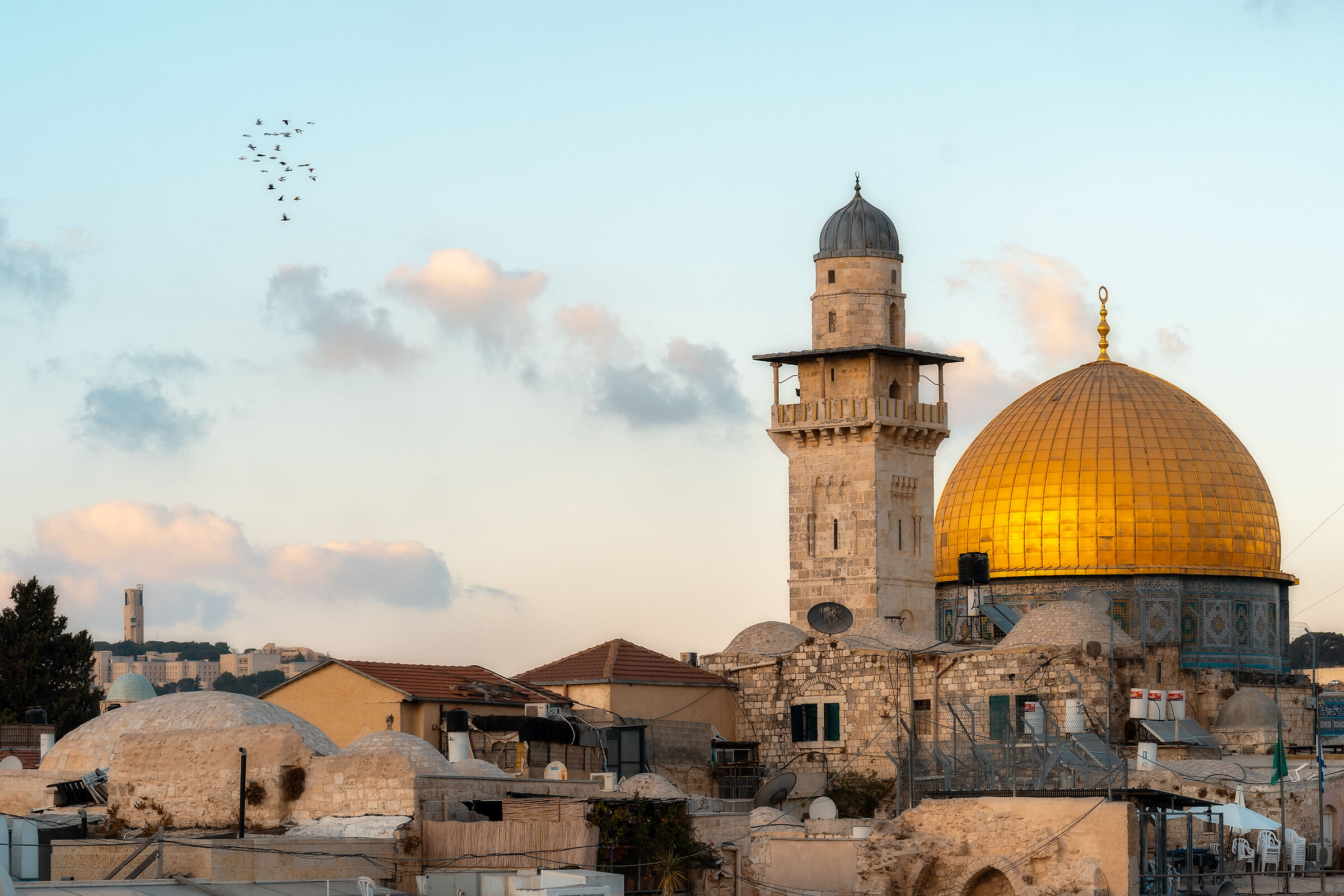 The flight of the swallow