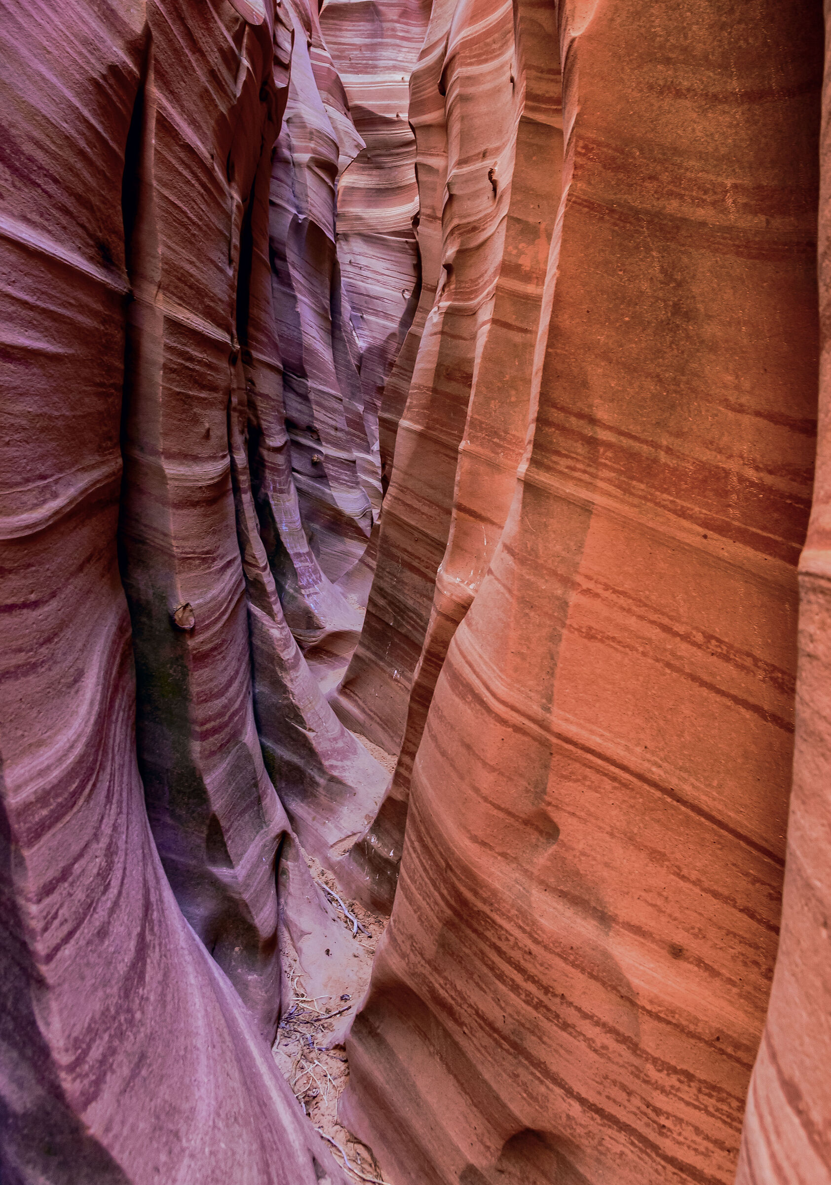 Zebra Canyon Escalante