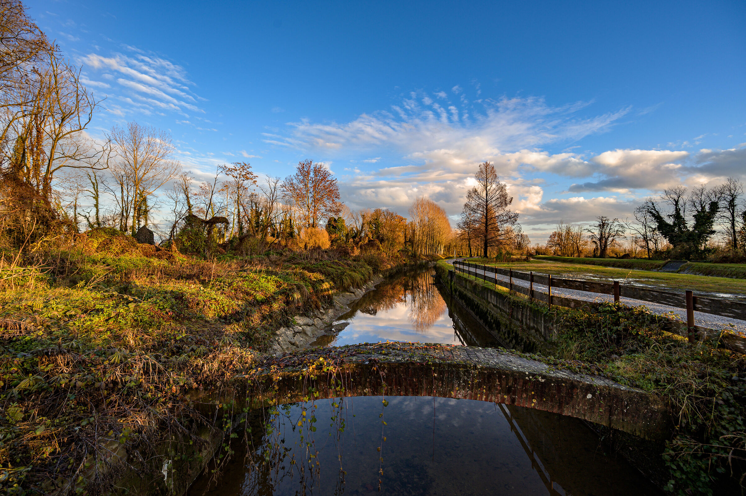 Aspettando primavera