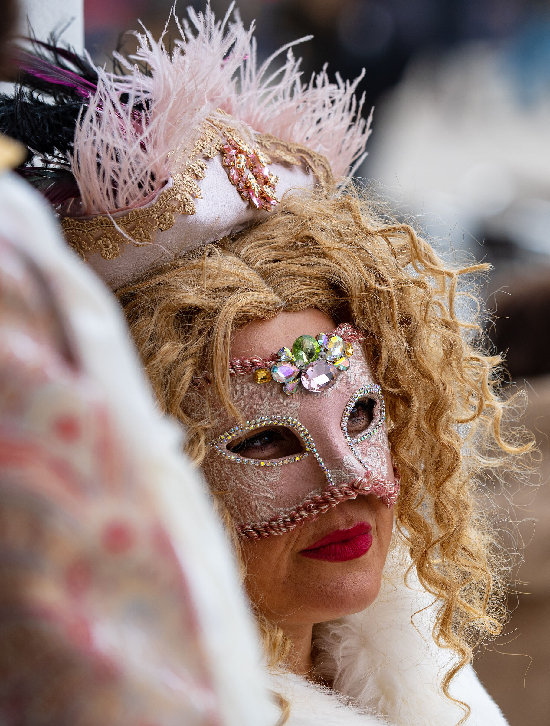 Venice Carnival