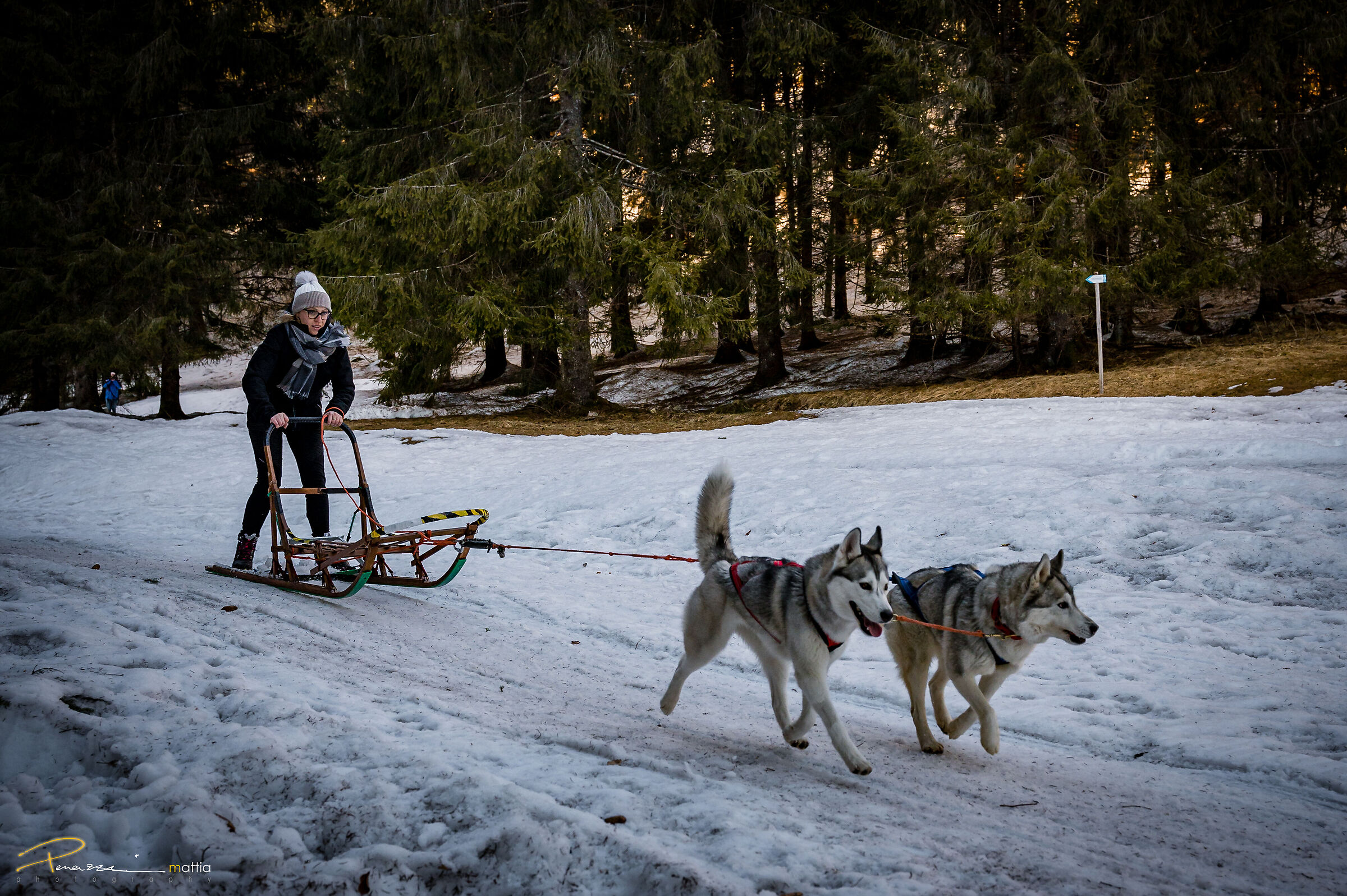 Giulia e Nora -Sleddog