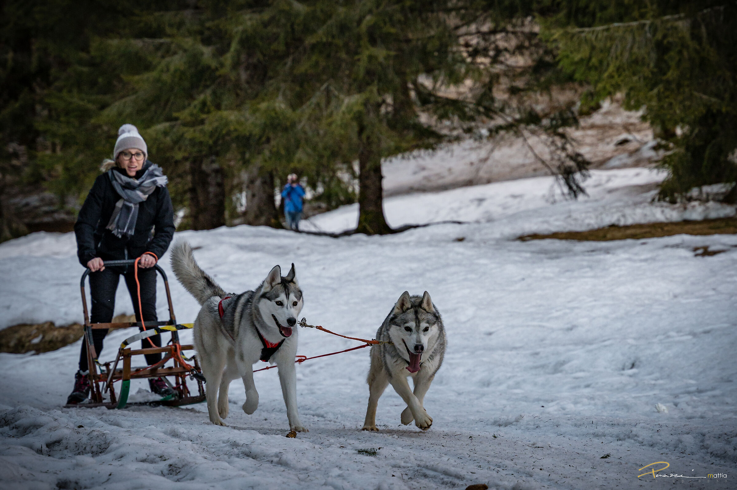 Giulia e Nora - Sleddog