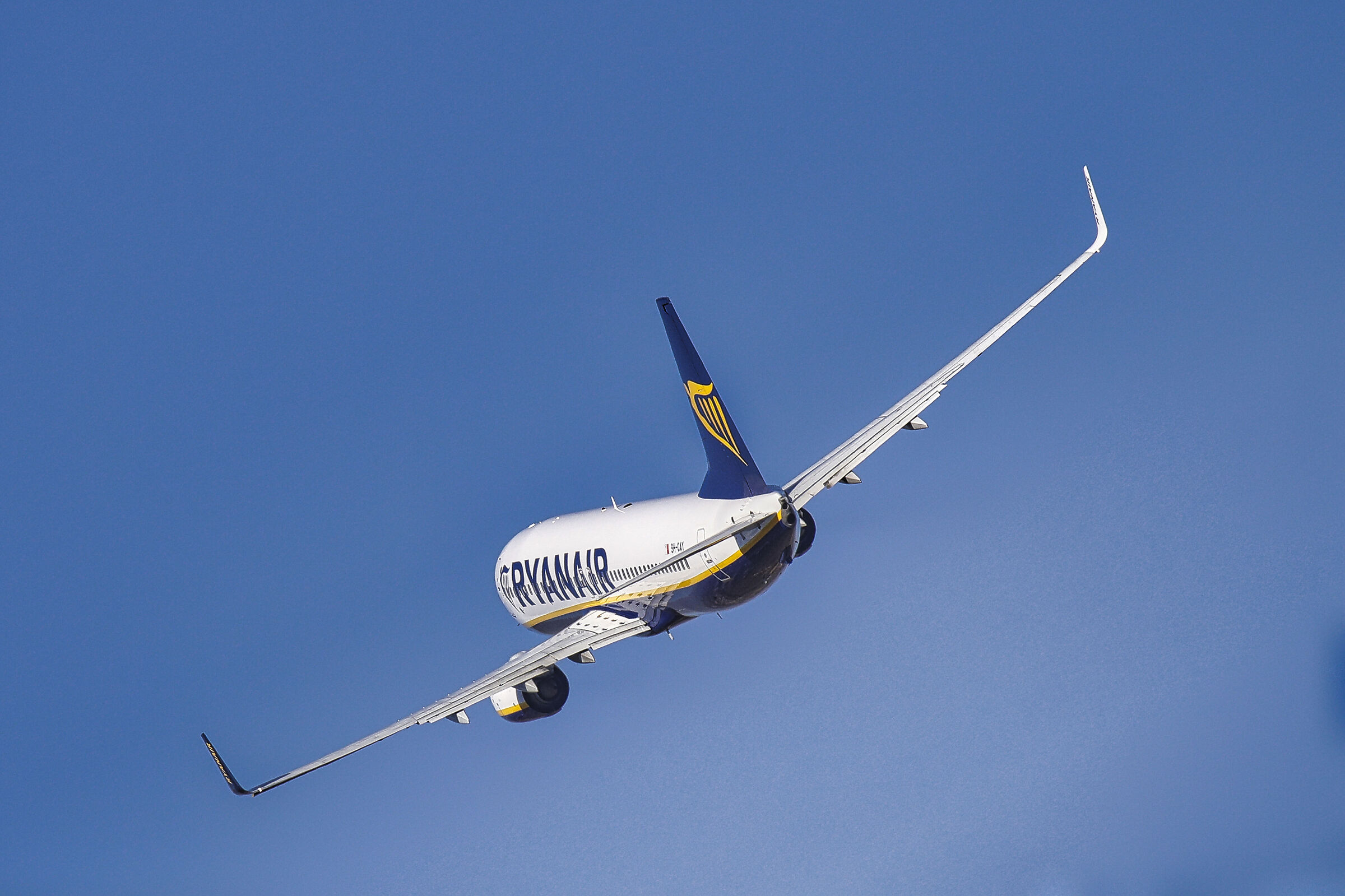 Canon 1dx  tamron 150 600