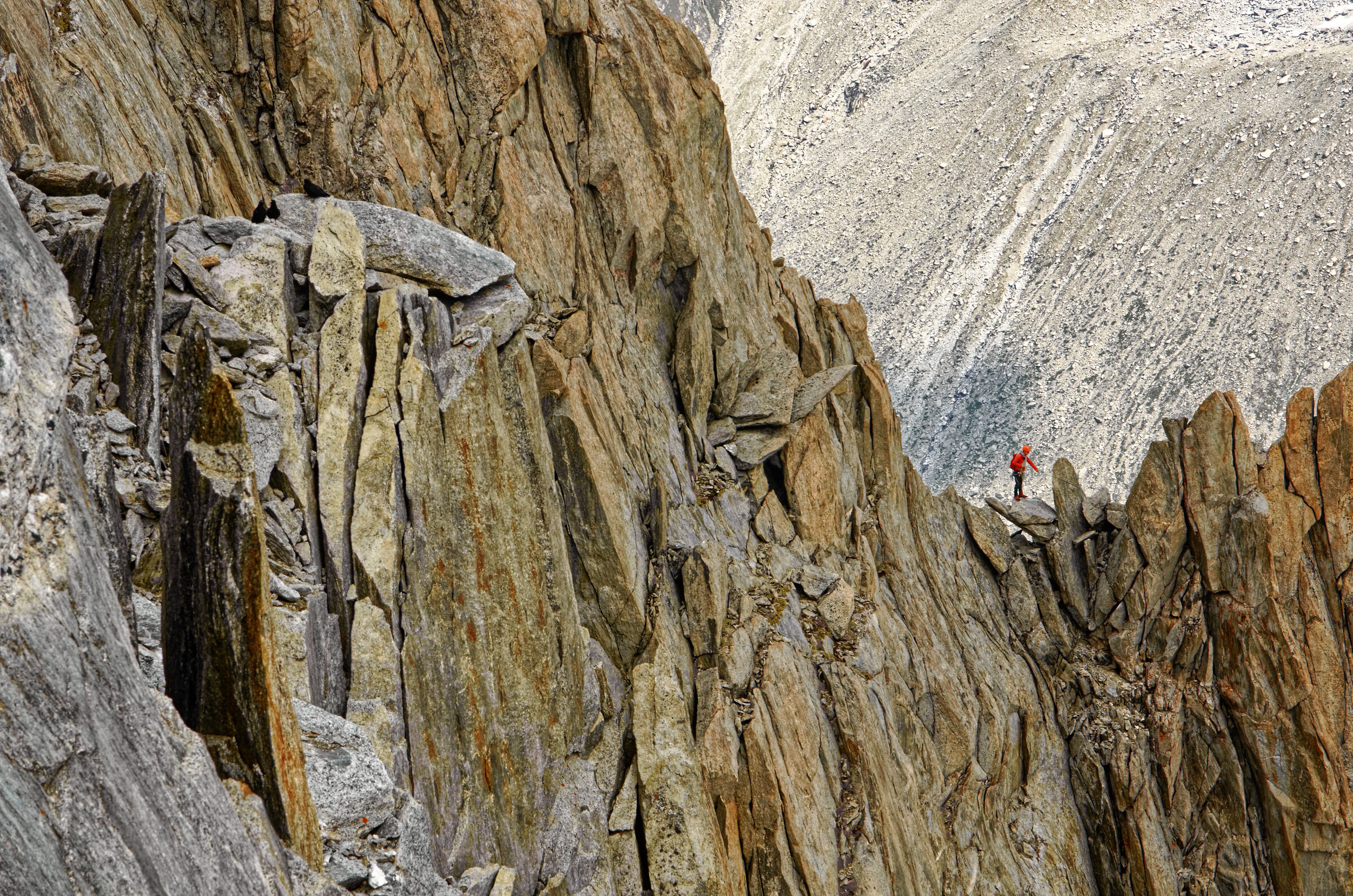 Arretes des Grands Montets_Mont Blanc