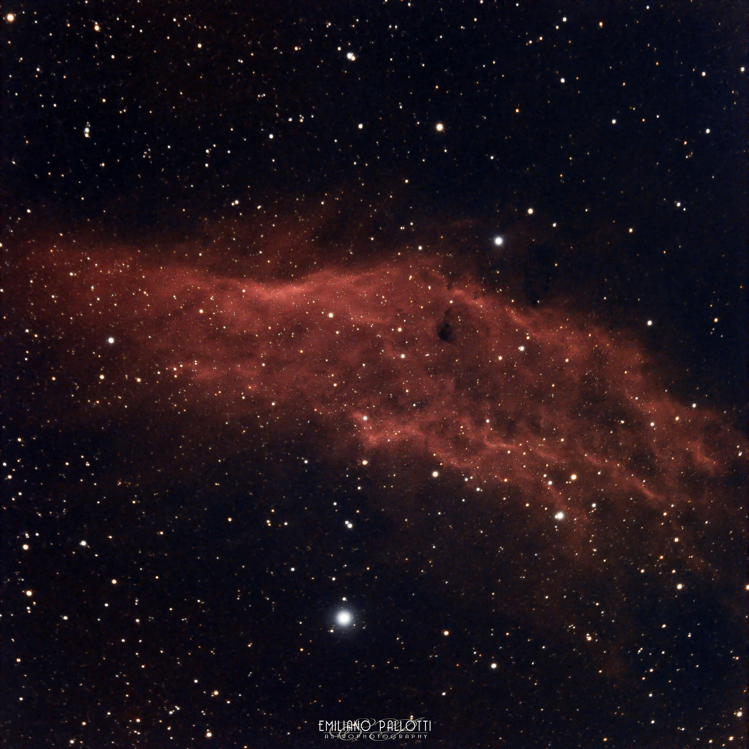 California Nebula