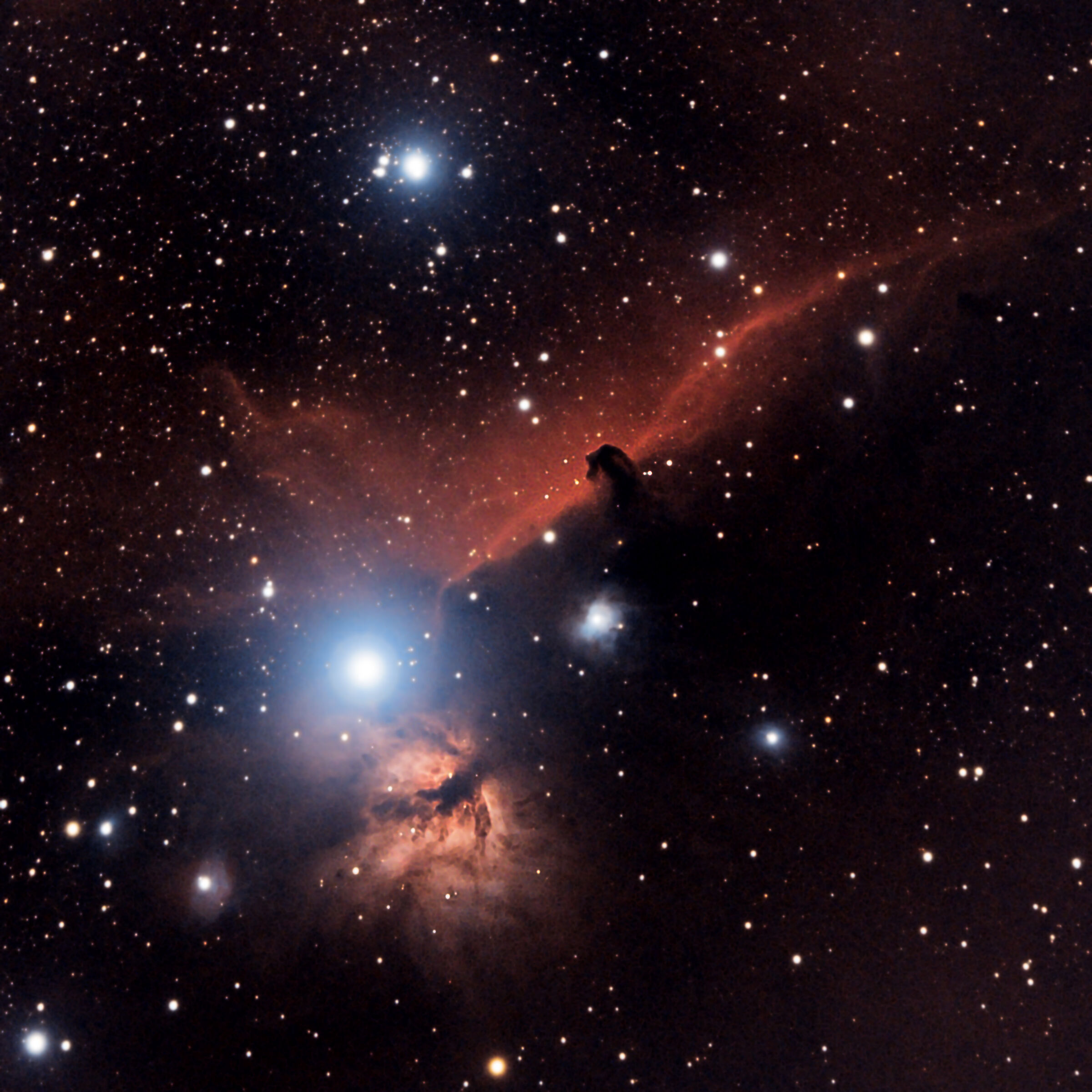 Nebulosa Testa Di Cavallo