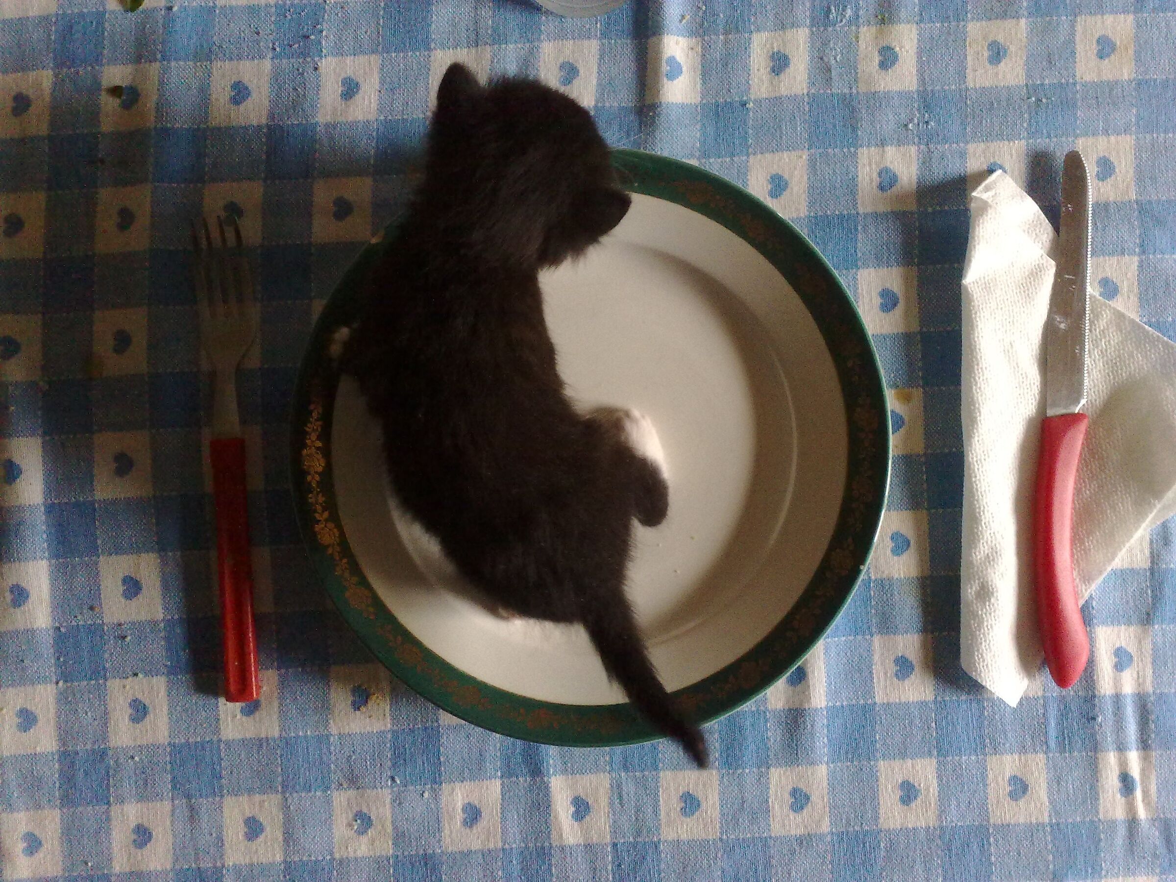 "A friend for dinner"