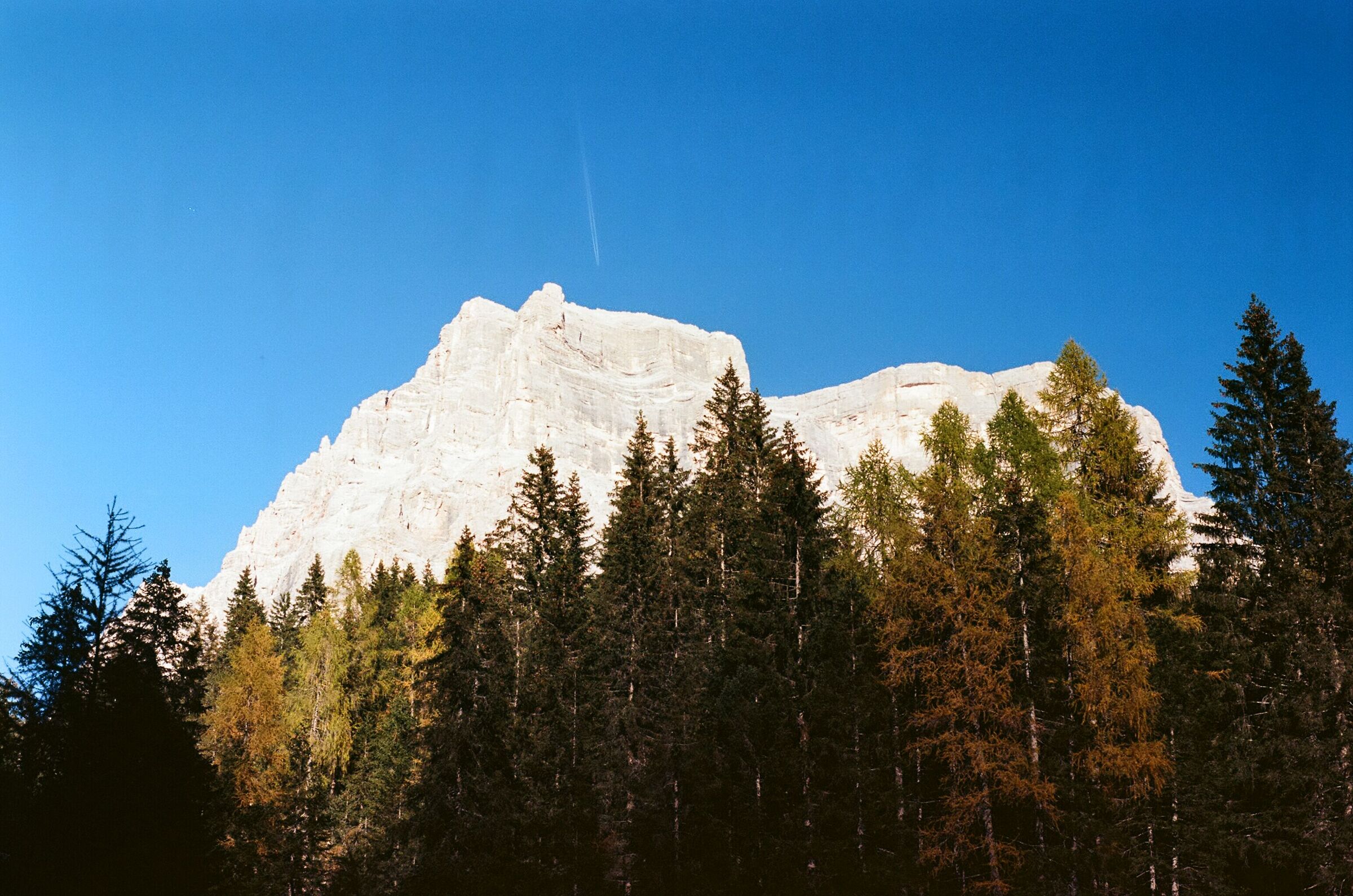Tofana di Rozes