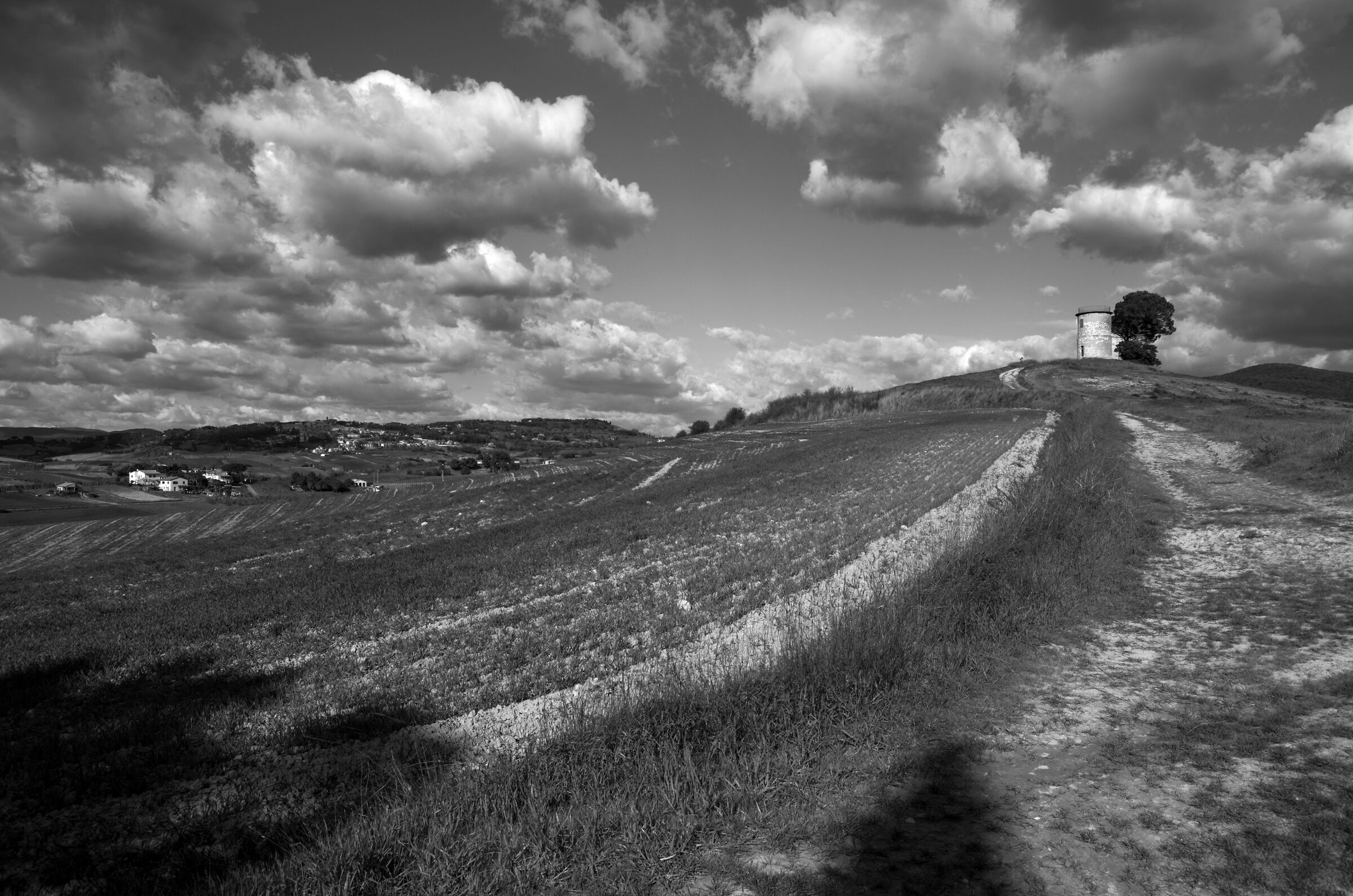 The barn... Bibbona (Italy)