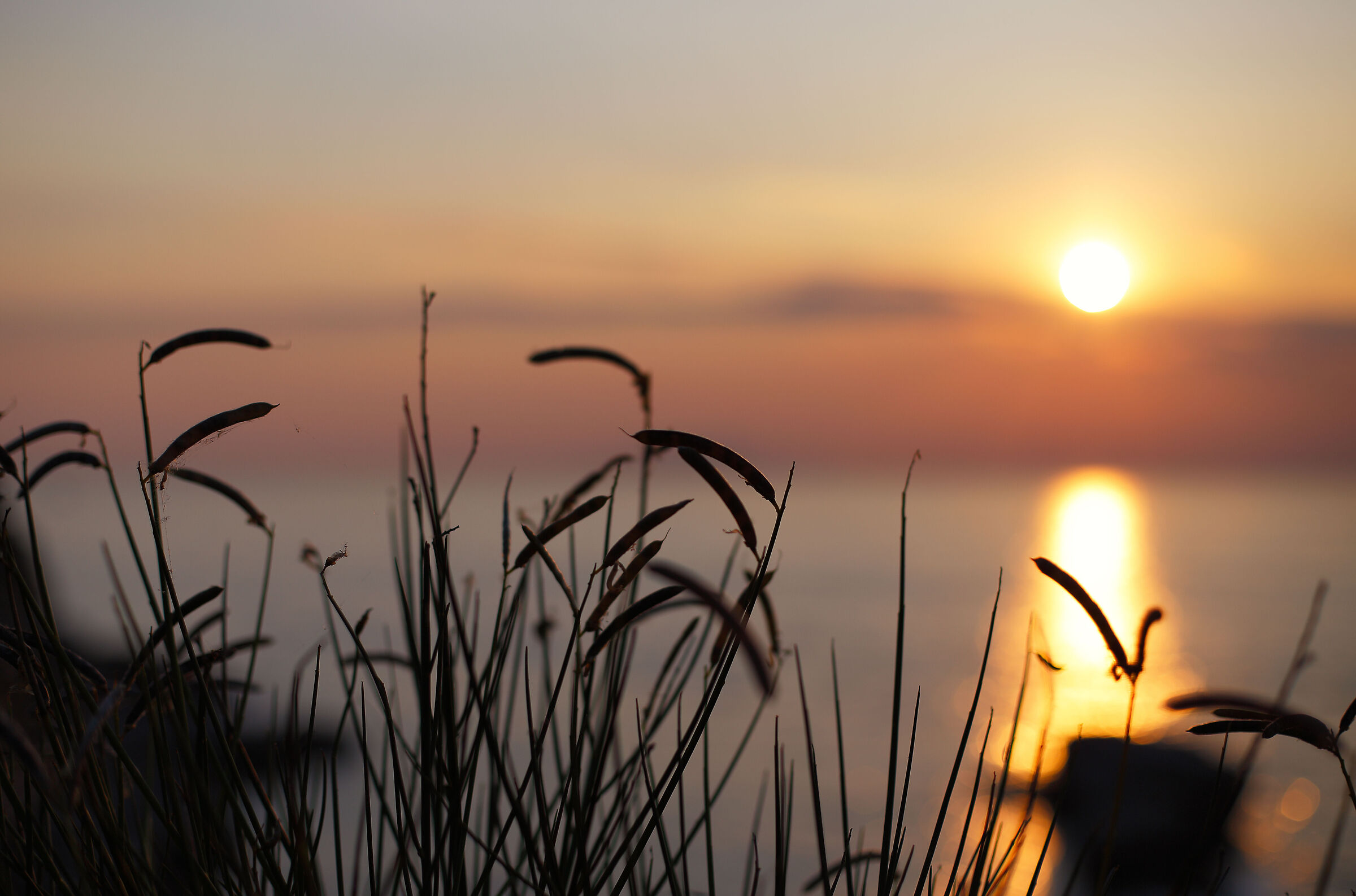 Untitled Photo