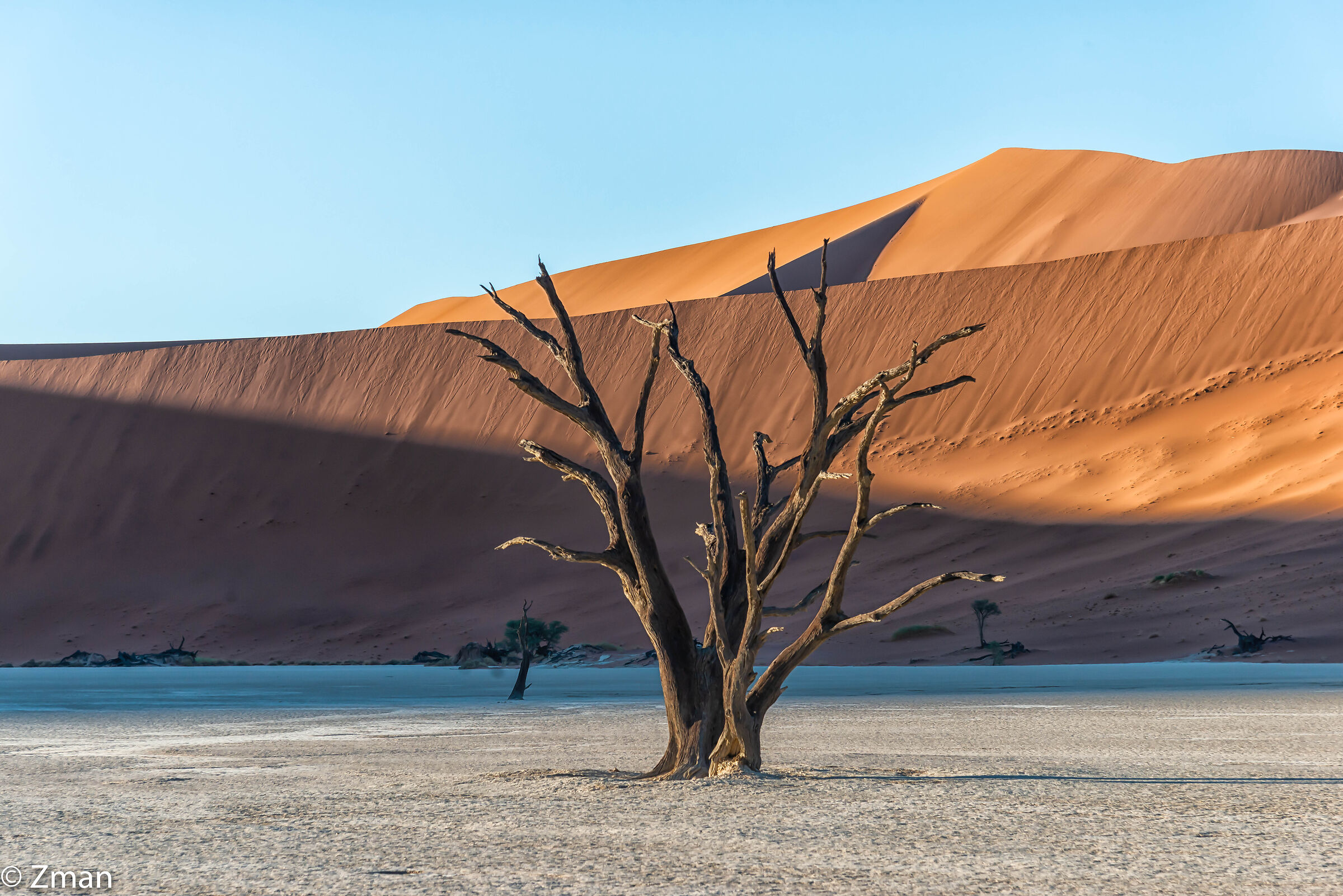 Bei vecchi tempi andati