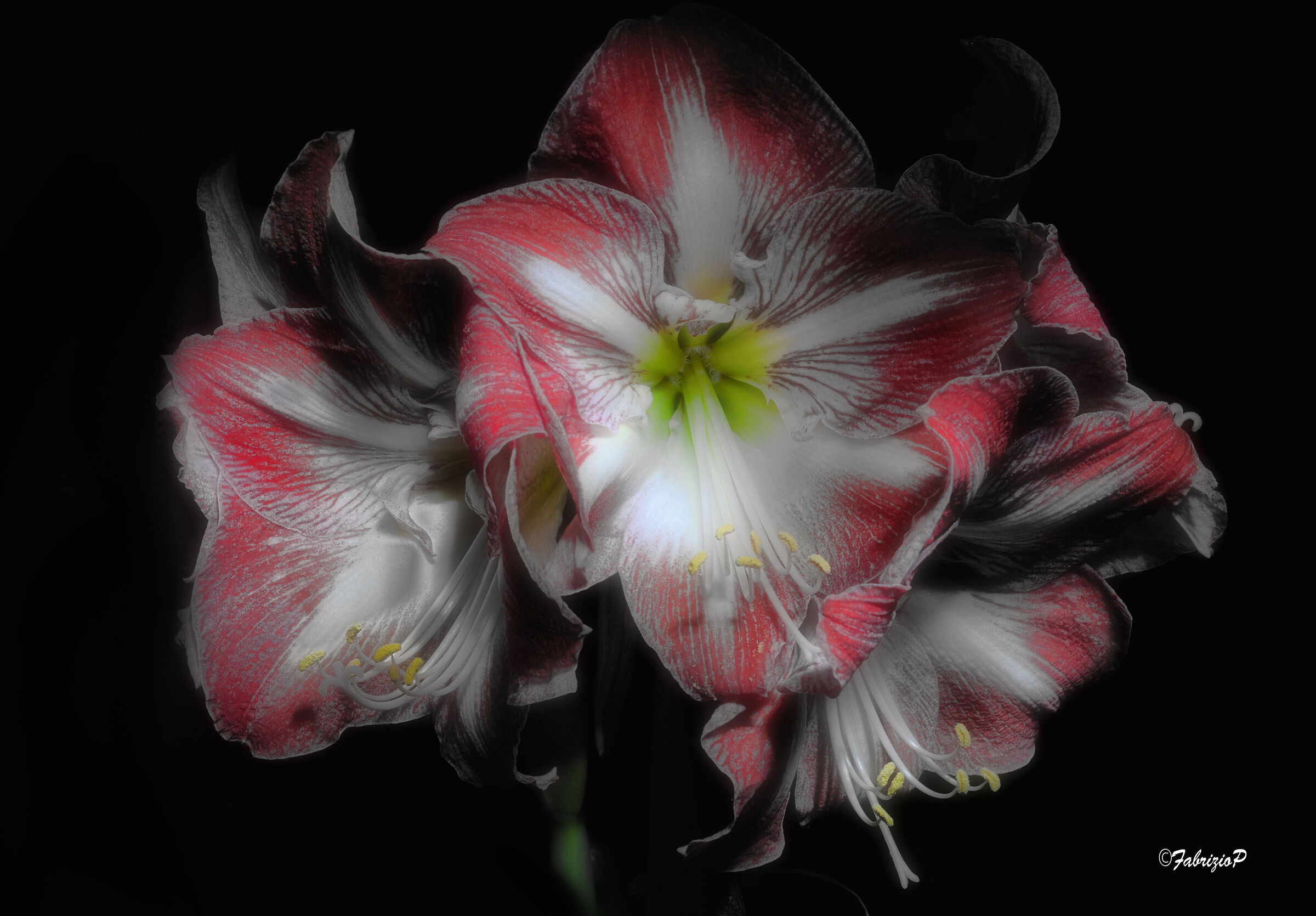 La primavera sta arrivando