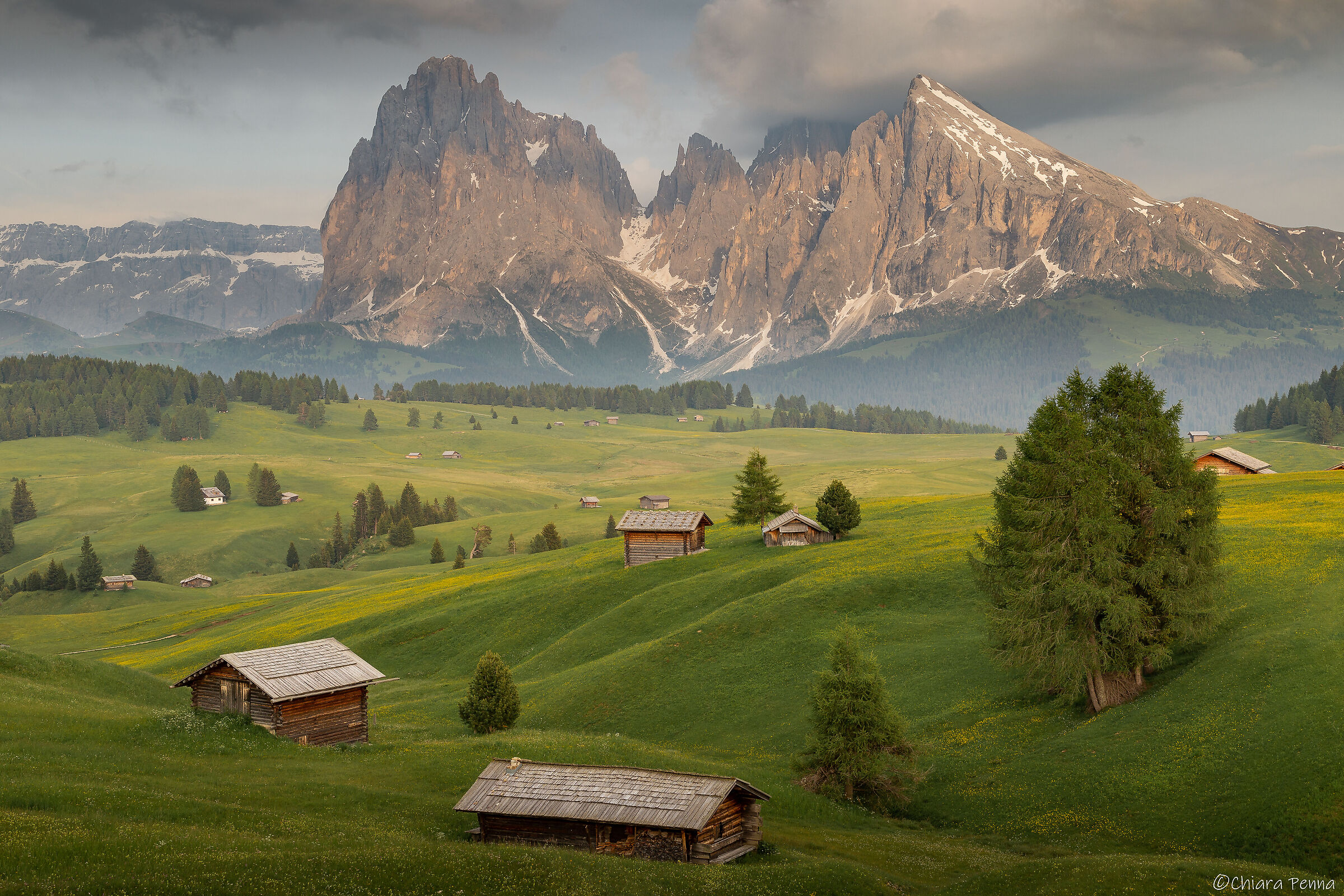 Alpe di Siusi