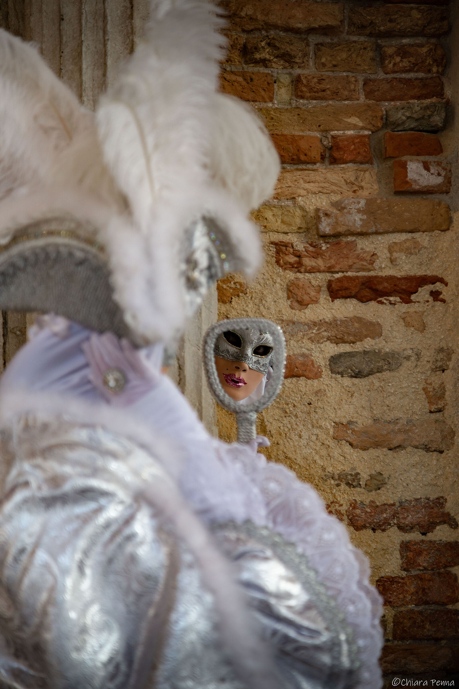 Carnevale allo specchio