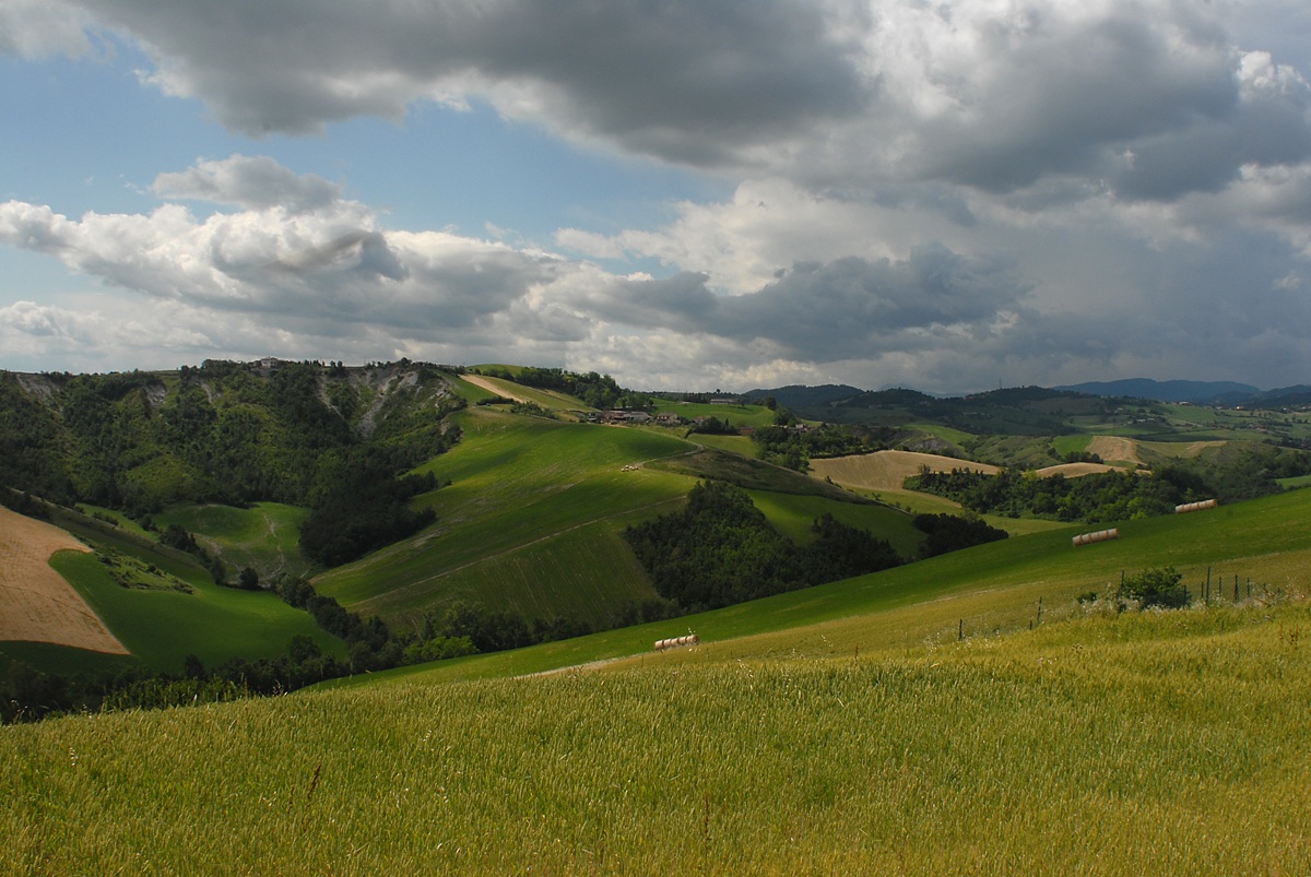 Hills of Parma