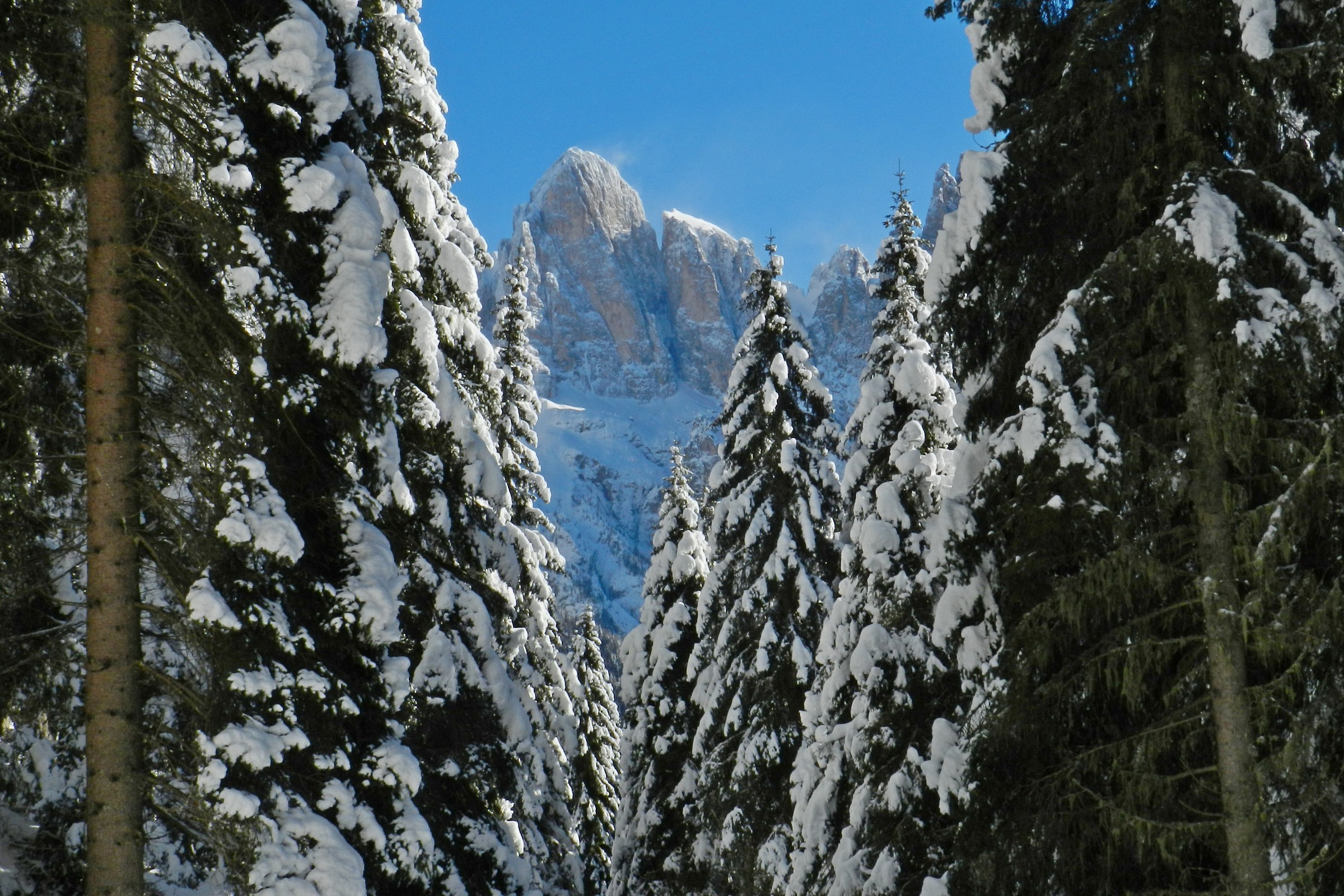 salita alla malga Cigolera